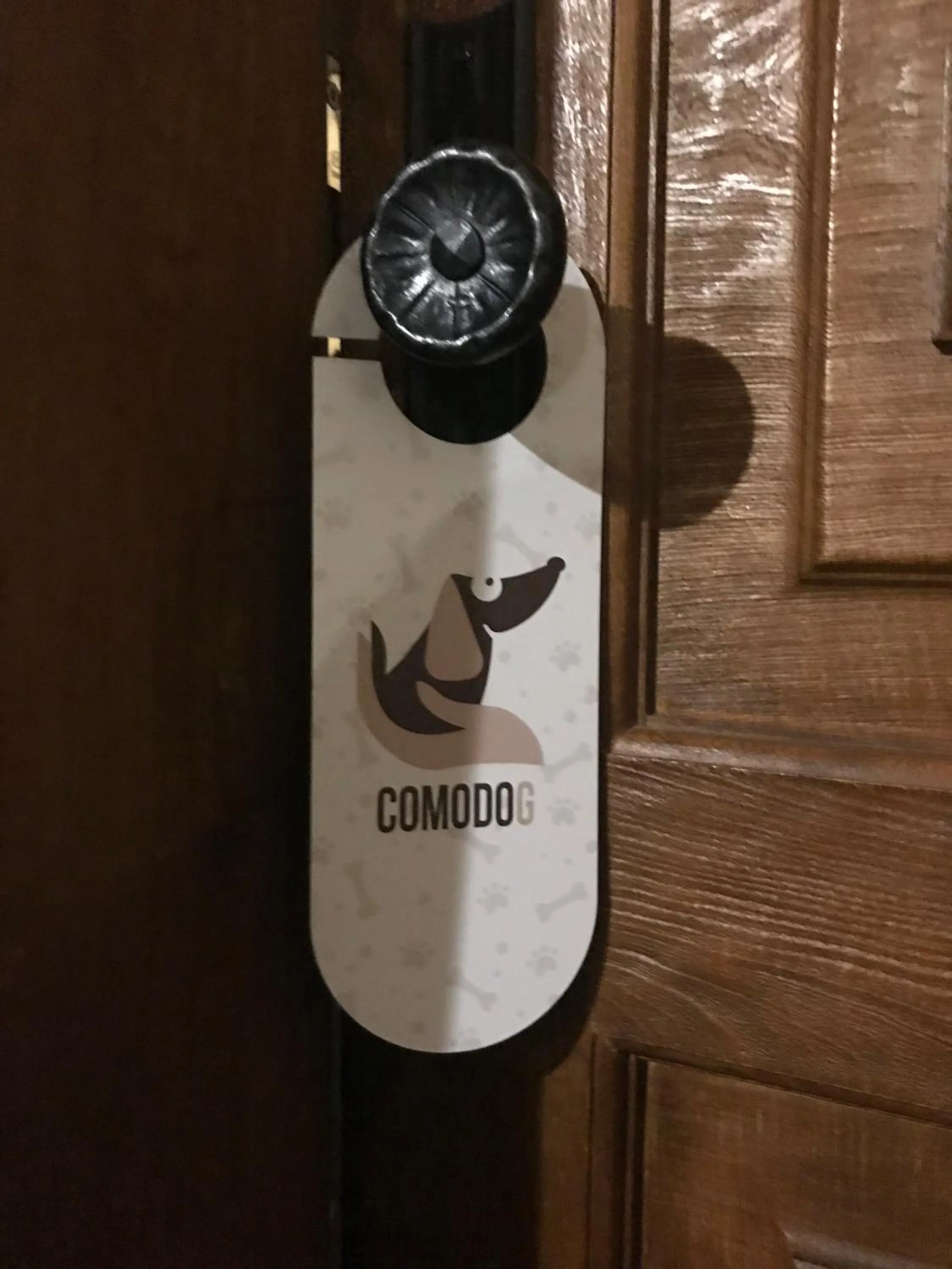 Pets in Hotel Lyshaus