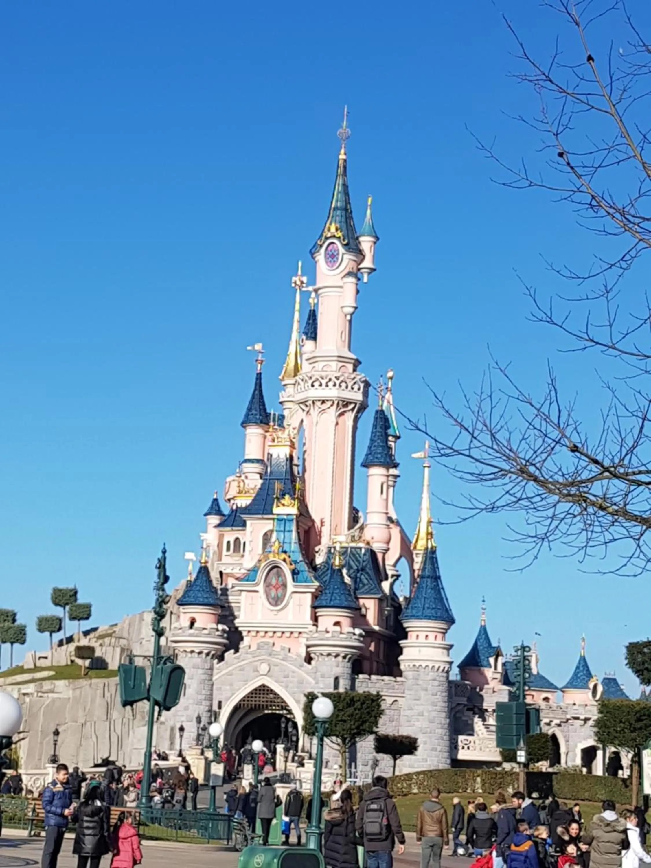 Activities in La Montignonne