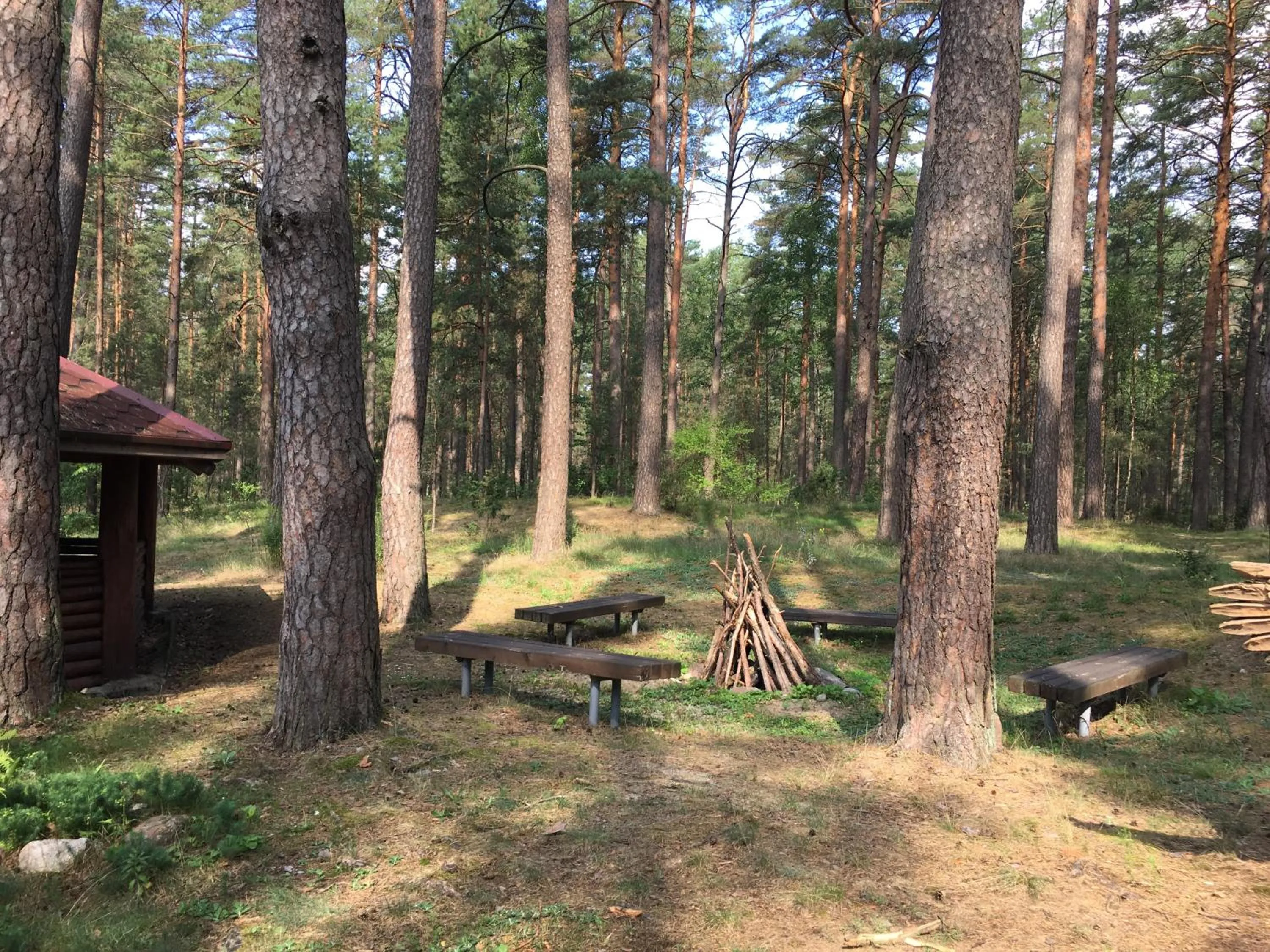 Garden in Hotel Jerevan