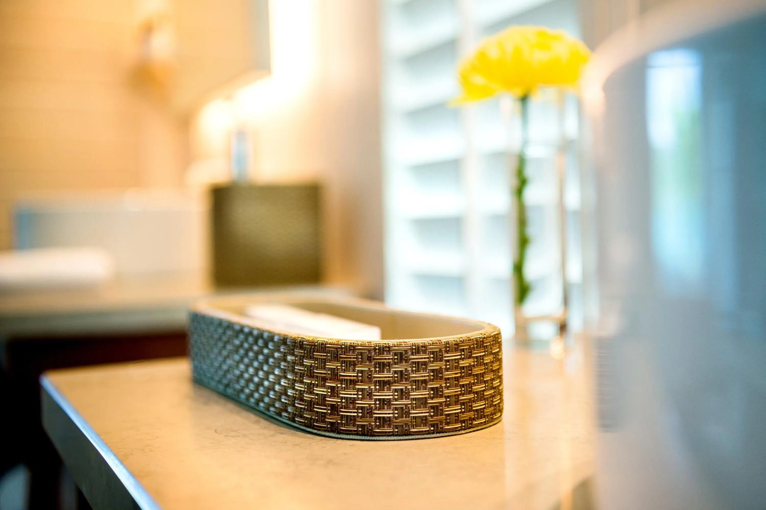 Bathroom in Park Hyatt St. Kitts