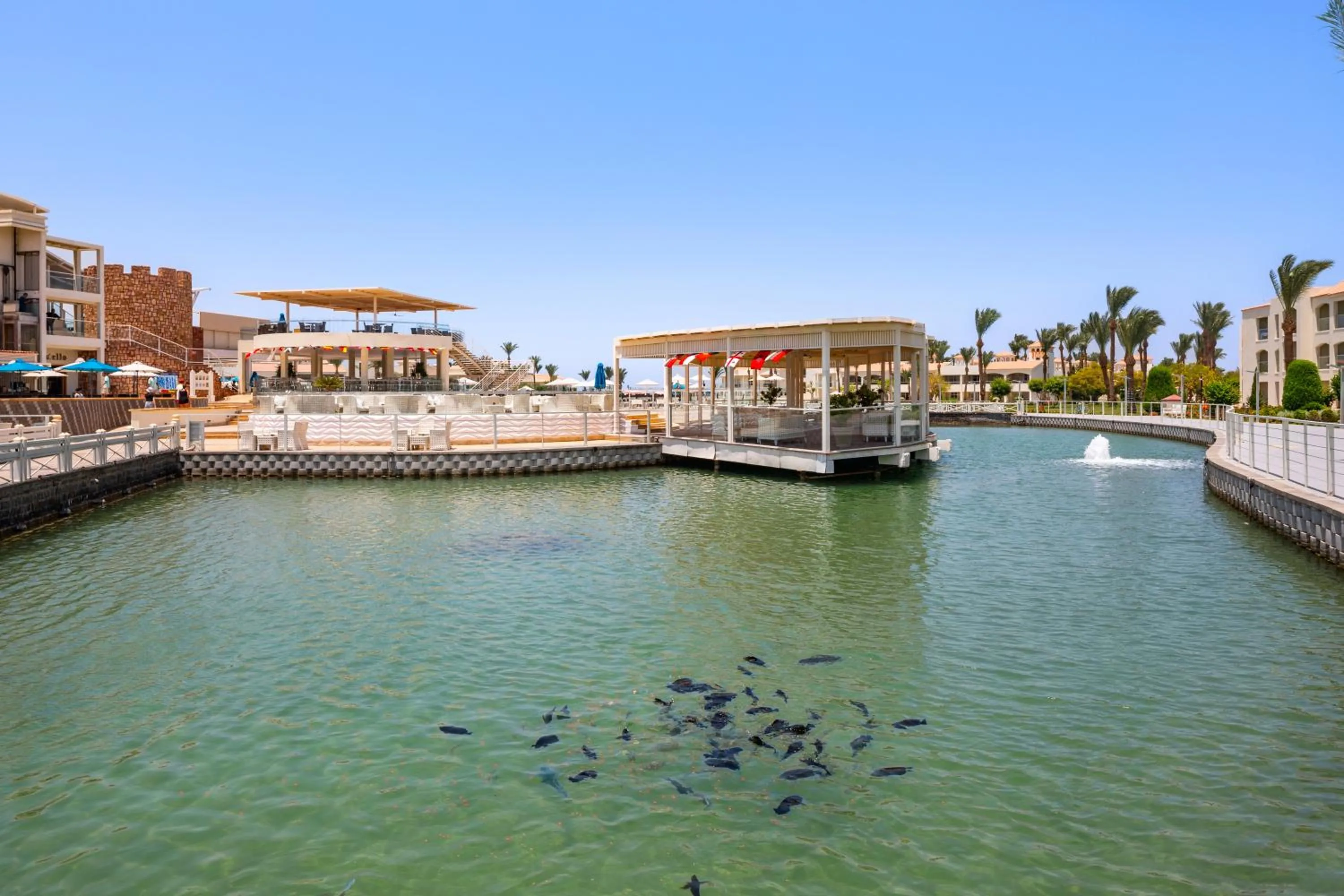 Day in Pickalbatros Dana Beach Resort - Aqua Park