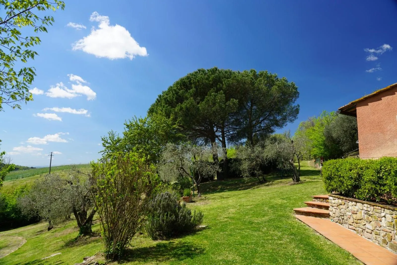 Tenuta San Vito In Fior Di Selva