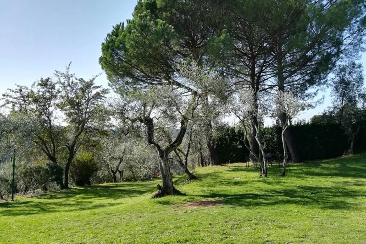 Tenuta San Vito In Fior Di Selva