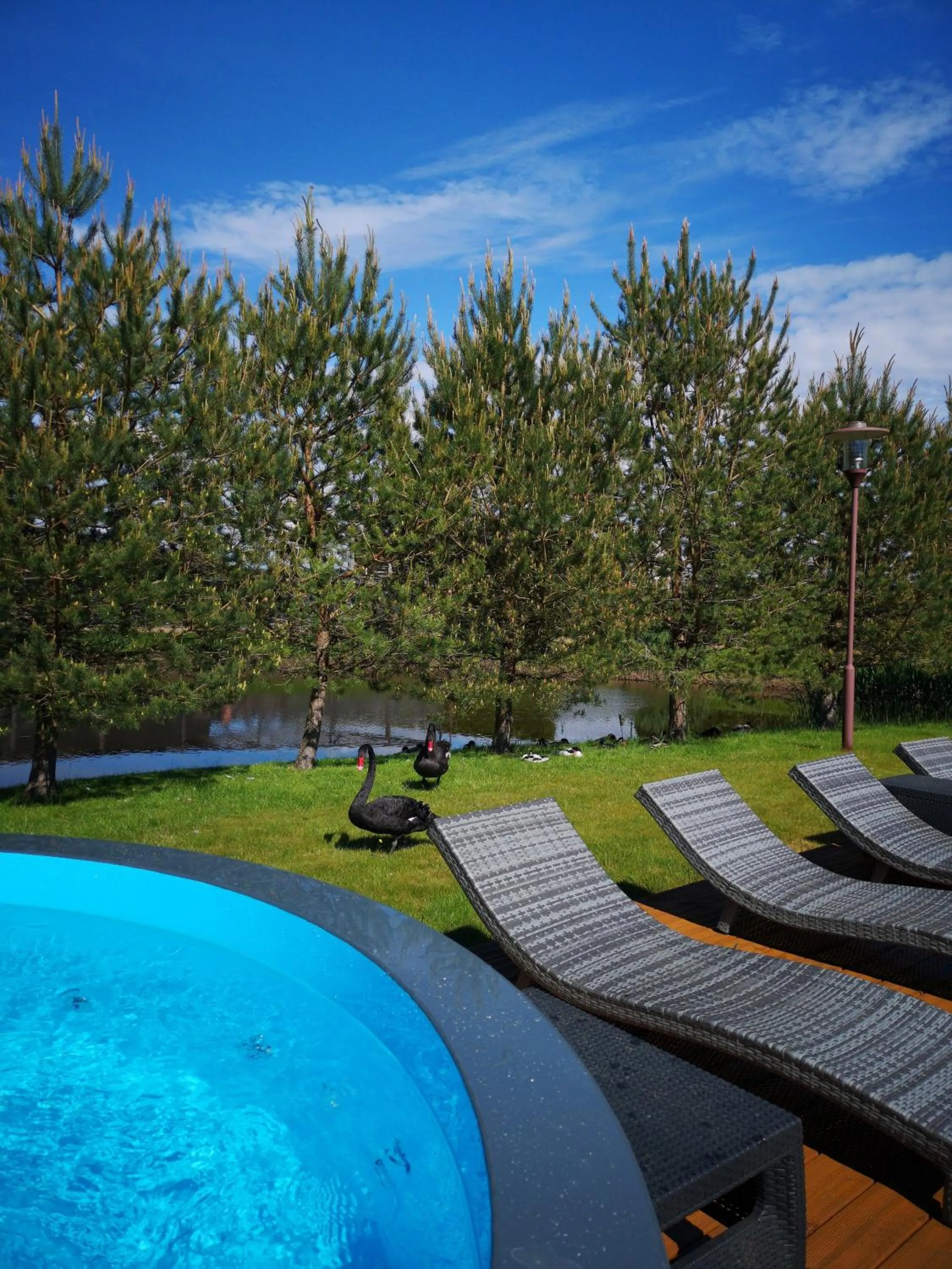 Swimming pool in Pajūrio Sodyba