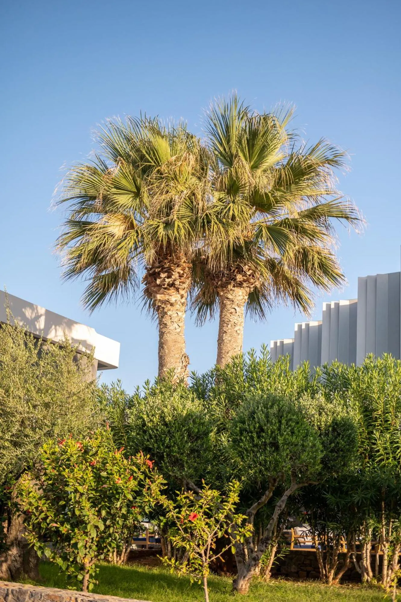 Garden in Arina Beach Resort