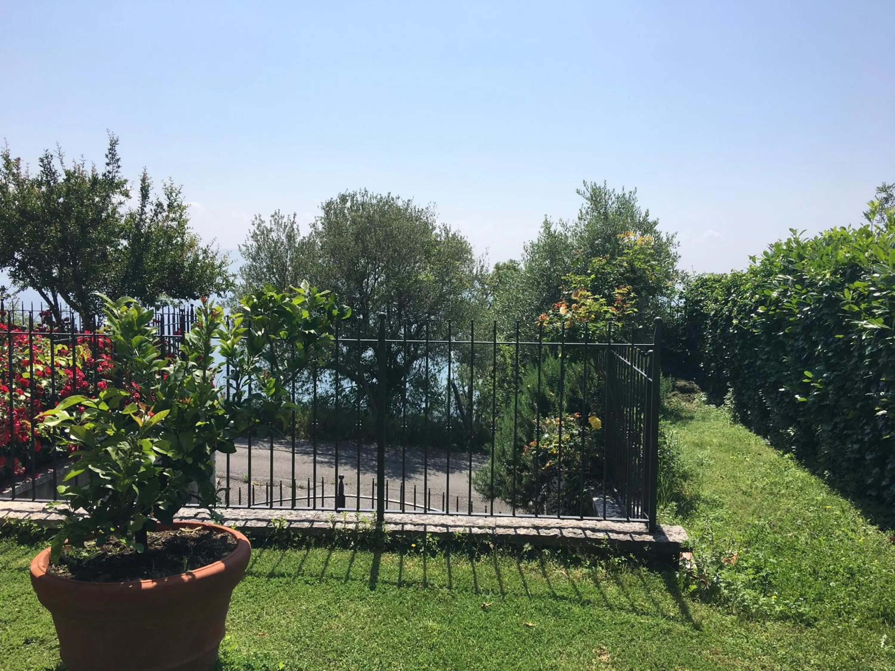 Garden in Belvedere Hotel & Villa