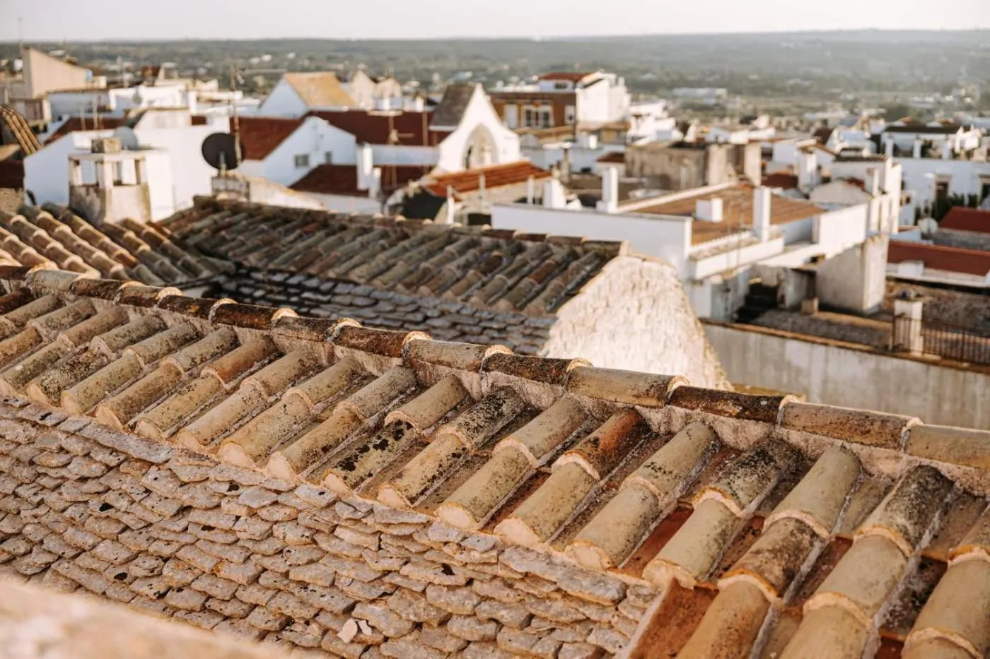 View (from property/room) in Santa Rosa Relais