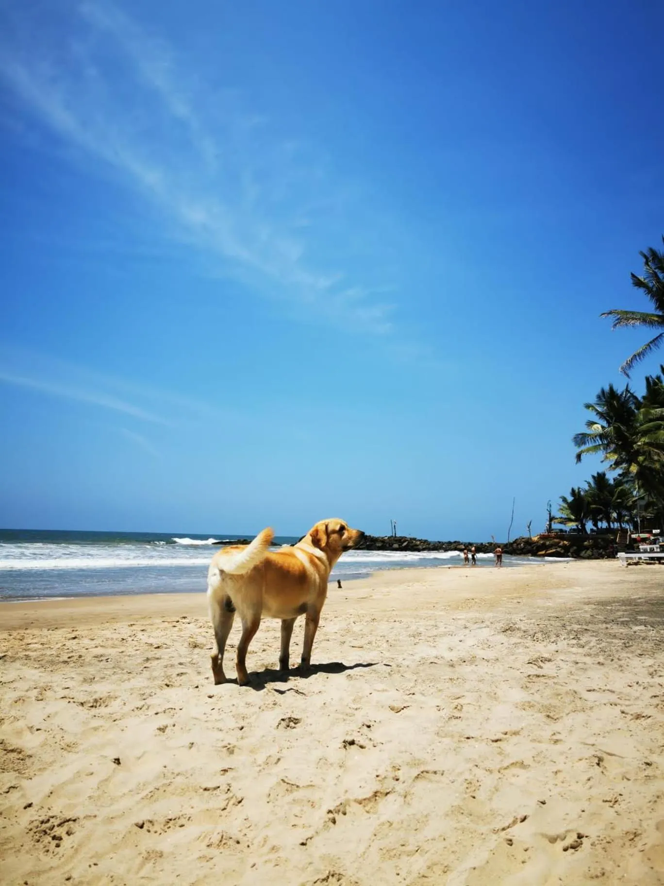 Beach in Amaranthe Beach Cabanas