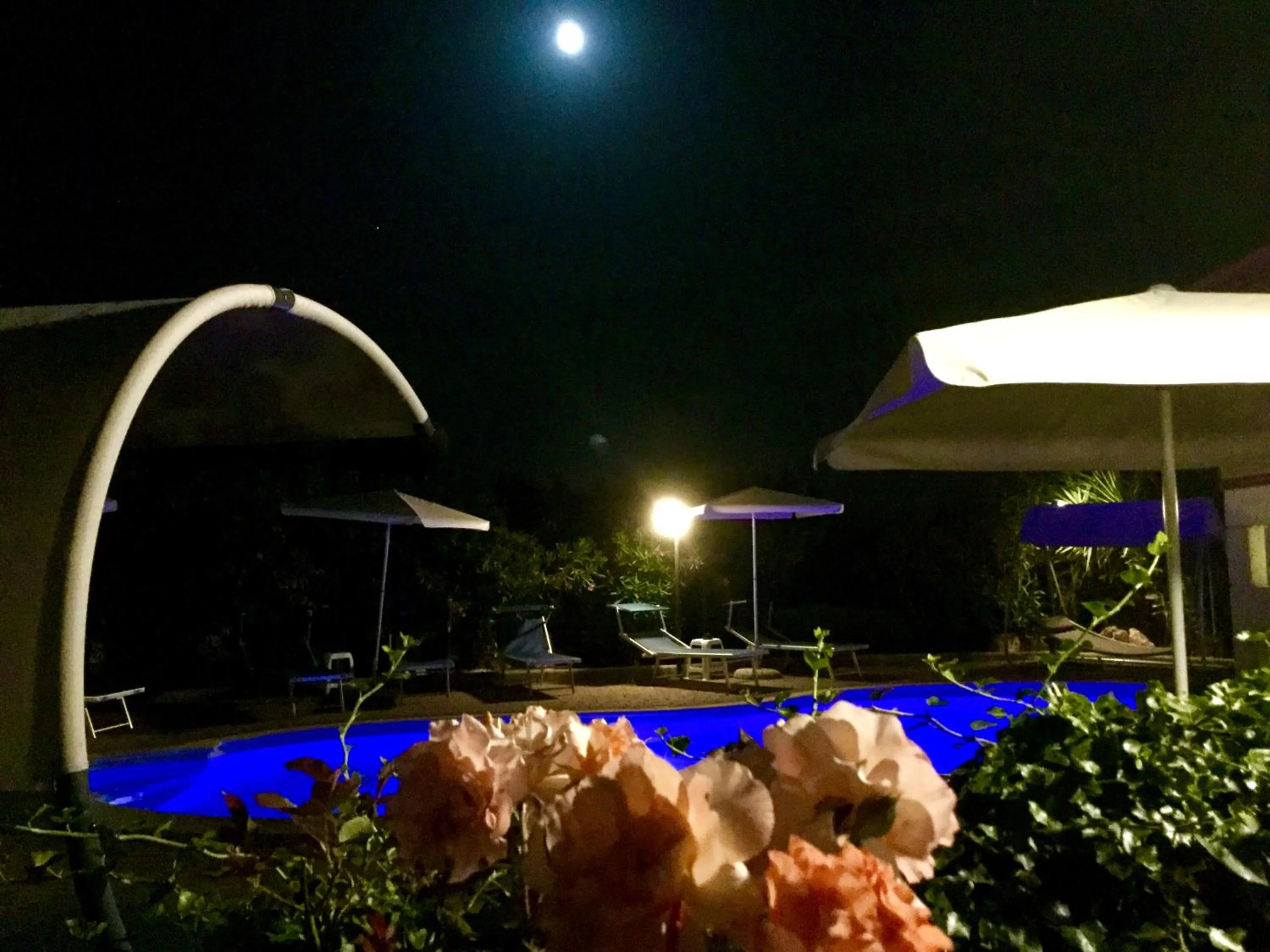 Pool view in Mirella Charming