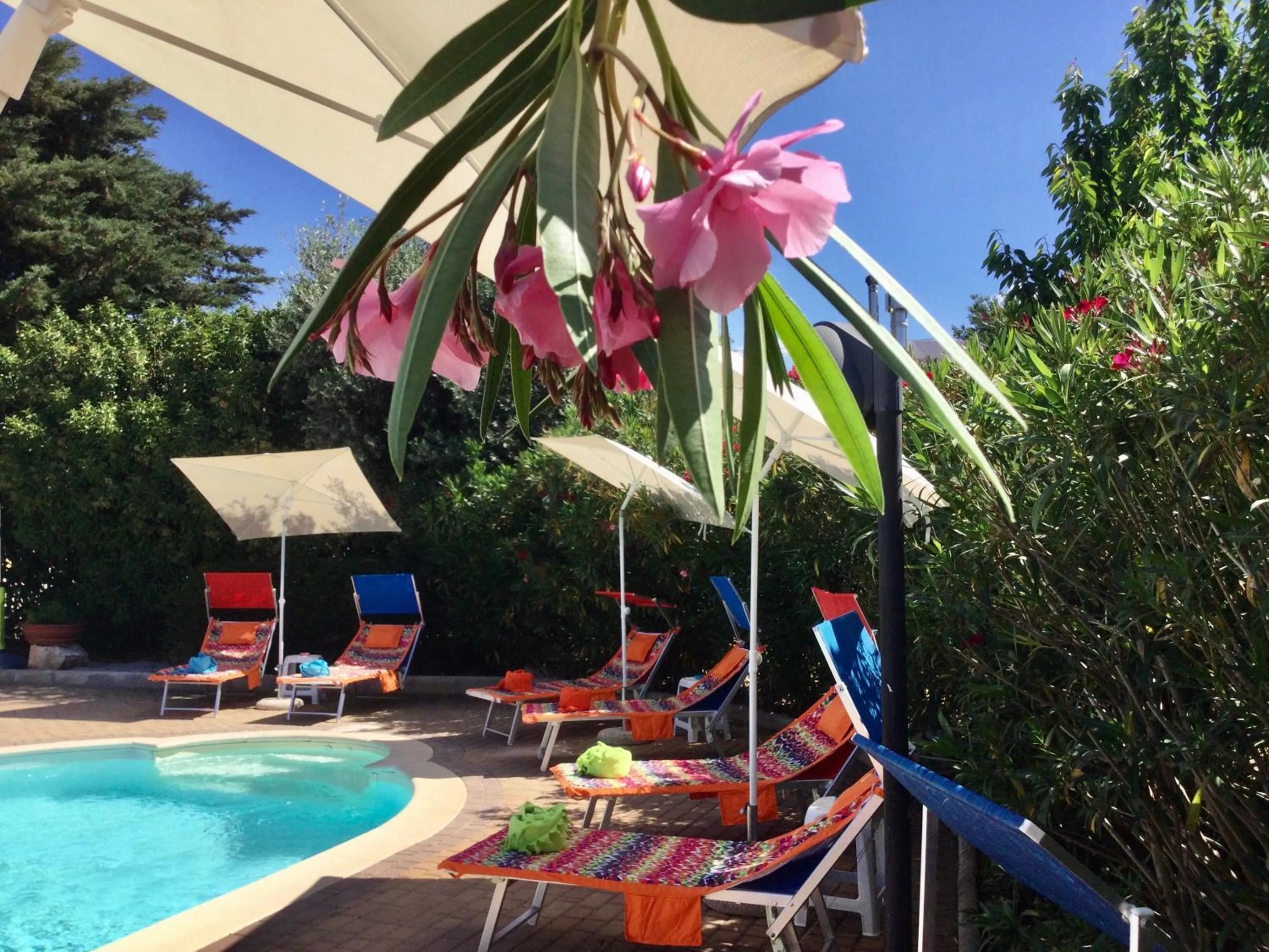 Swimming pool in Mirella Charming