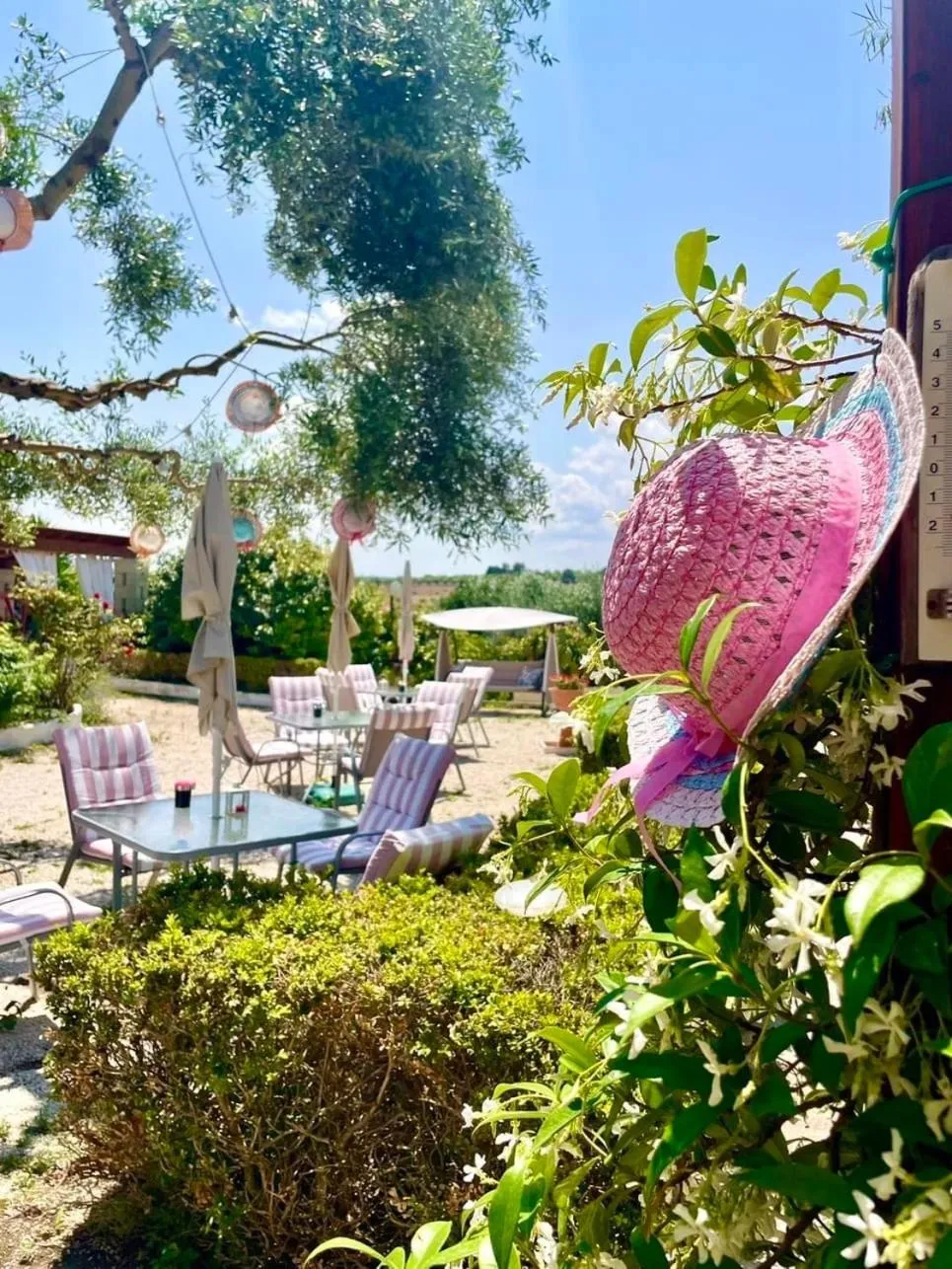 Garden in Mirella Charming