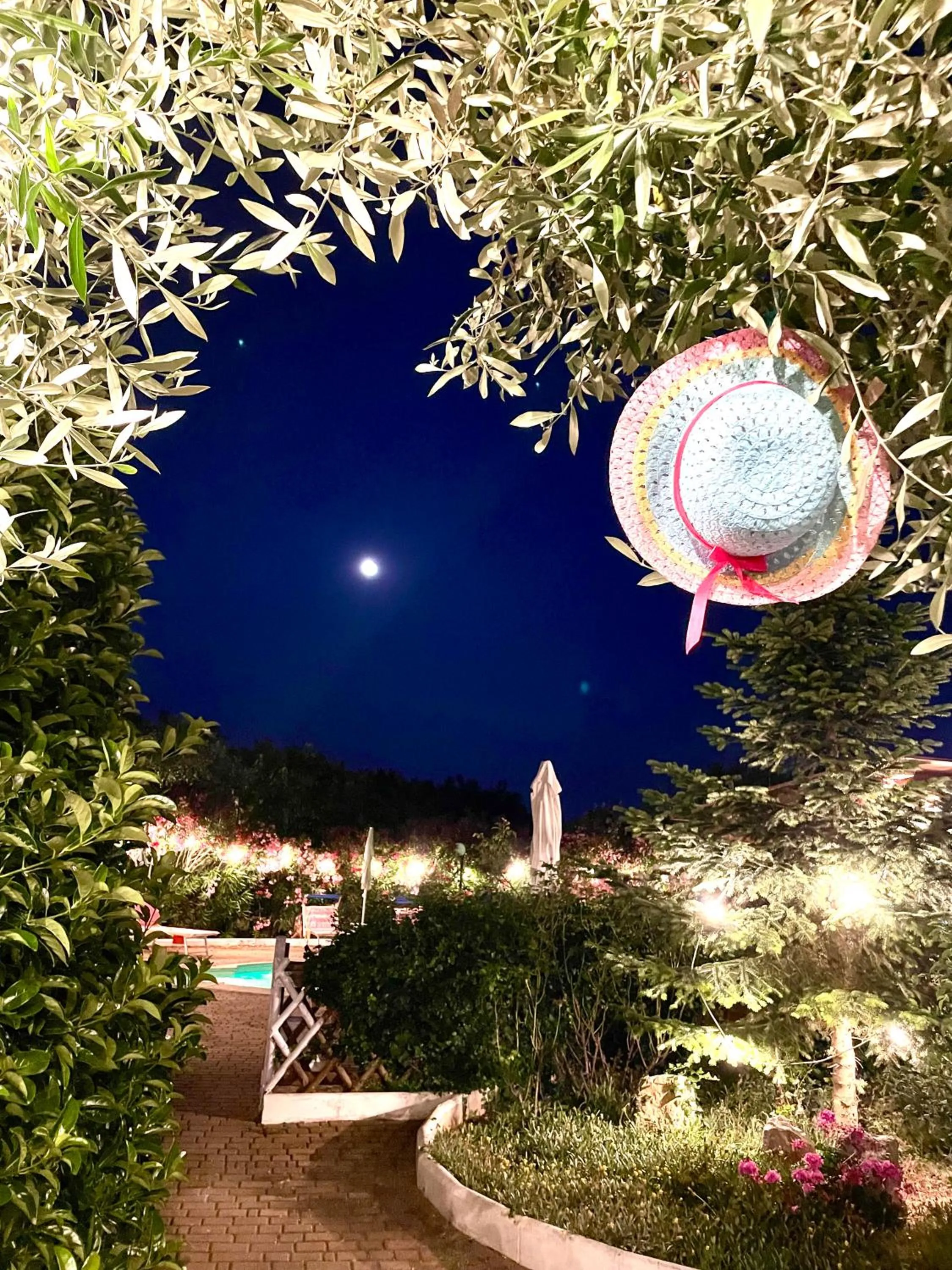 Night in Mirella Charming