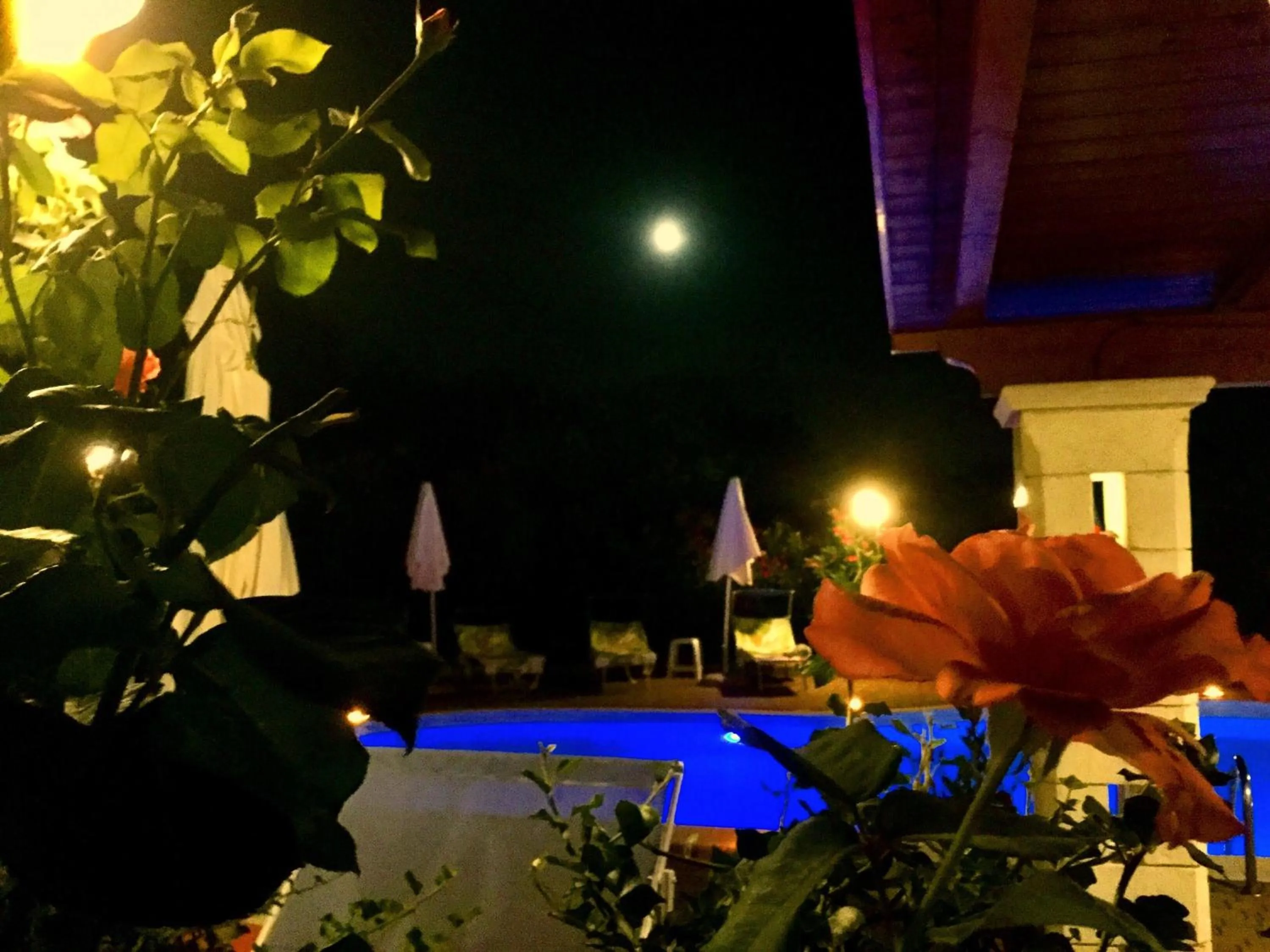 Swimming pool in Mirella Charming