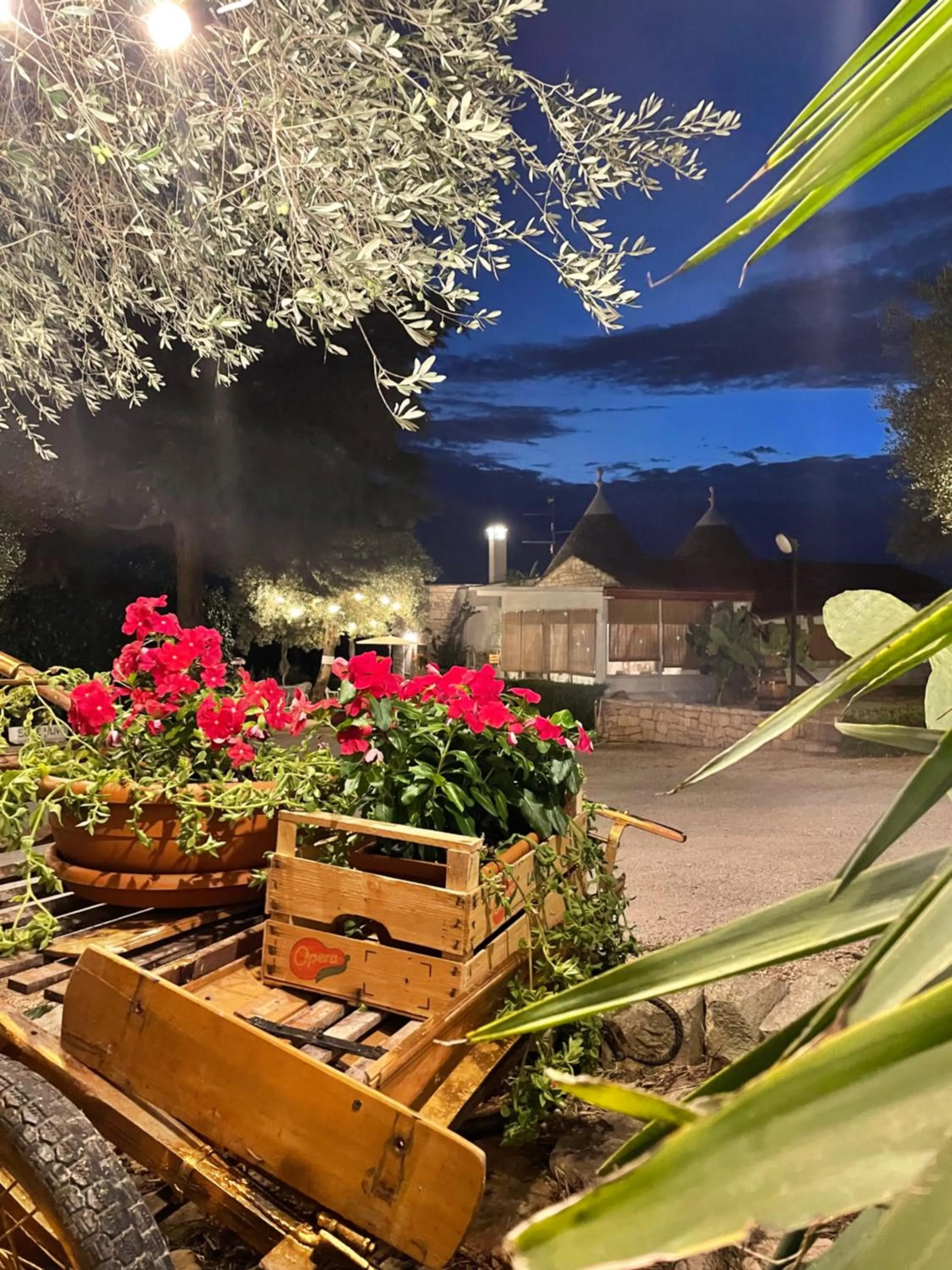 Patio in Mirella Charming