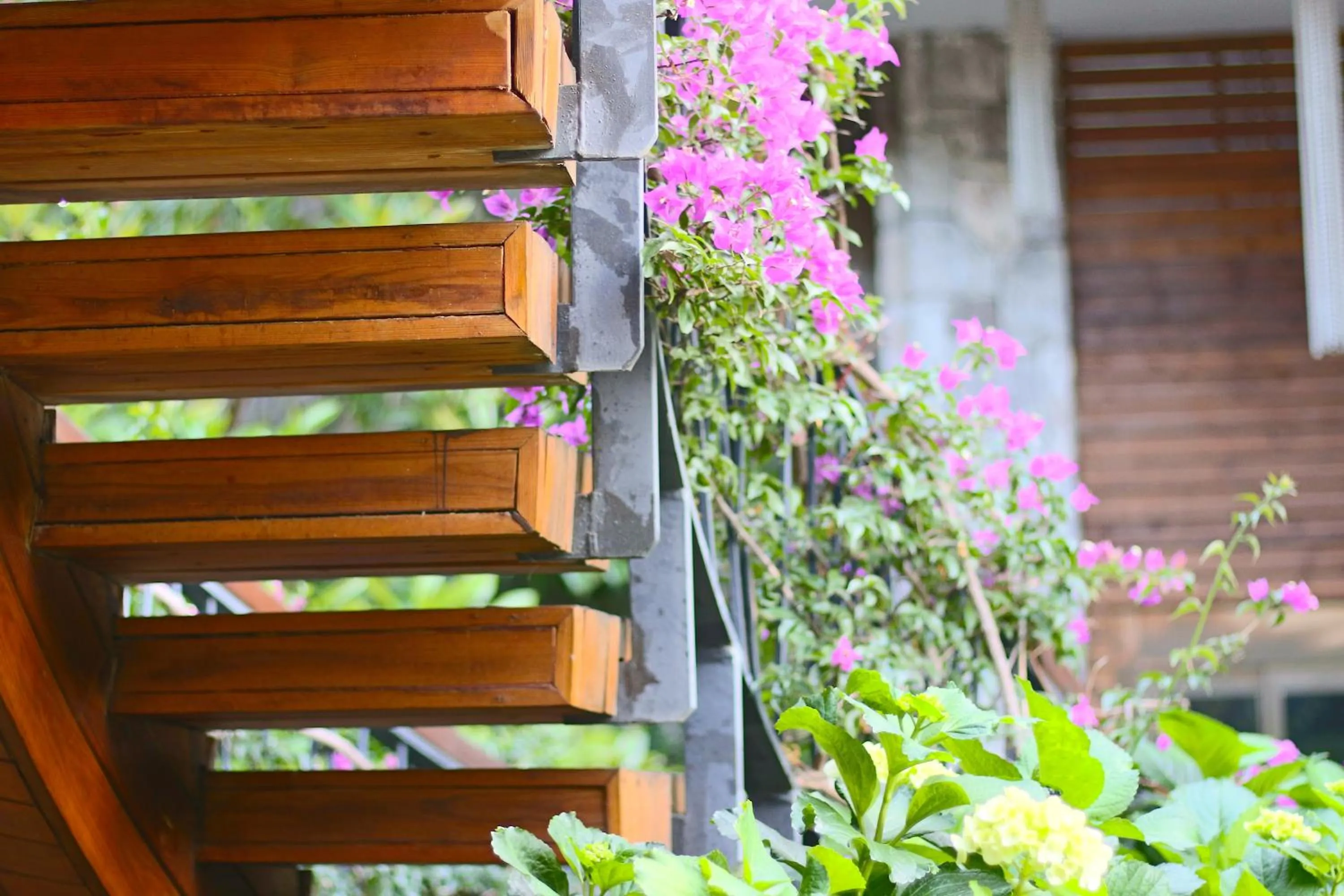 Garden in Costa Farilya Special Class Hotel Bodrum