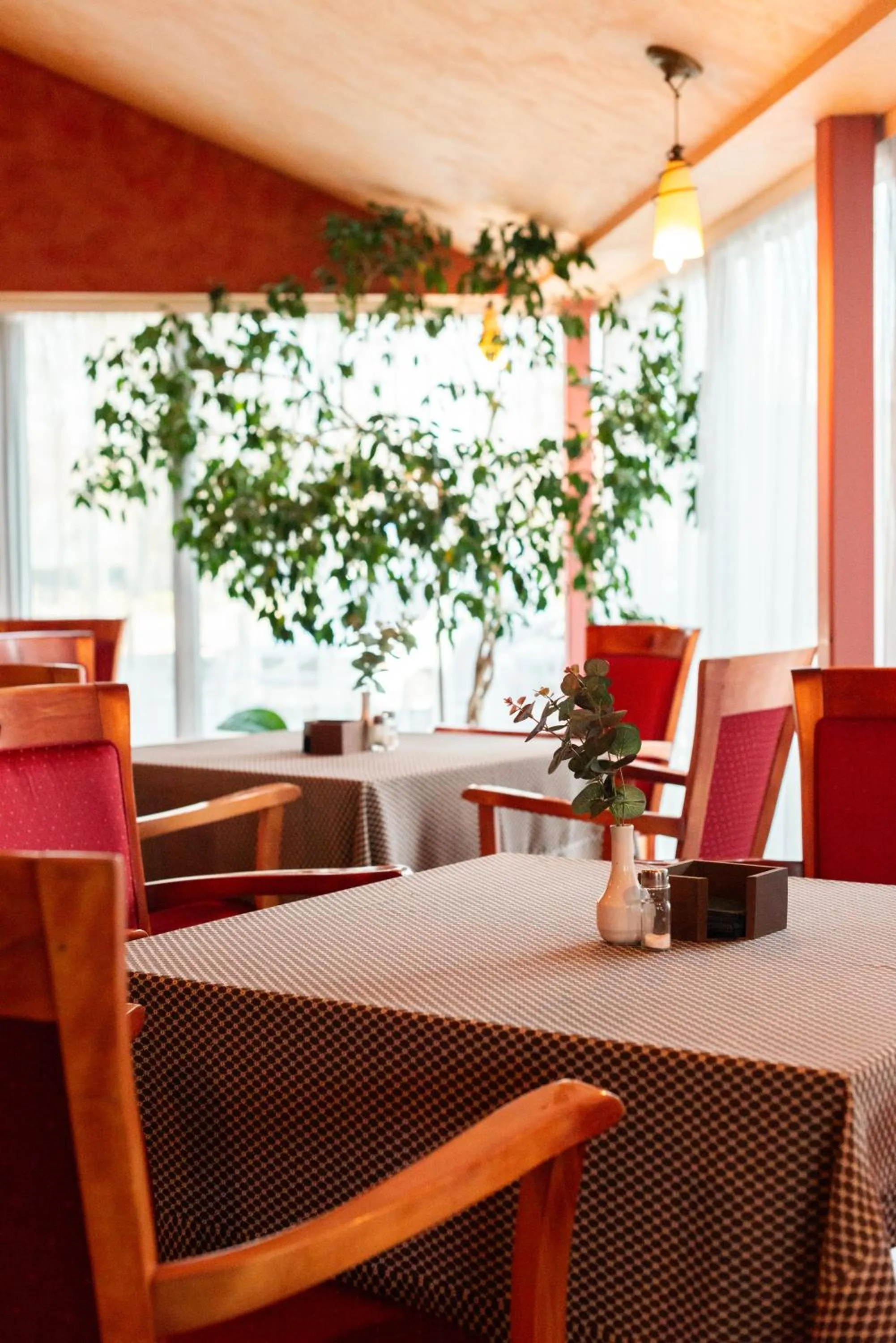 Restaurant/places to eat in Hotel Medūna