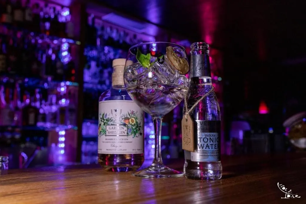 Lounge or bar in Hotel Isolabella Wellness