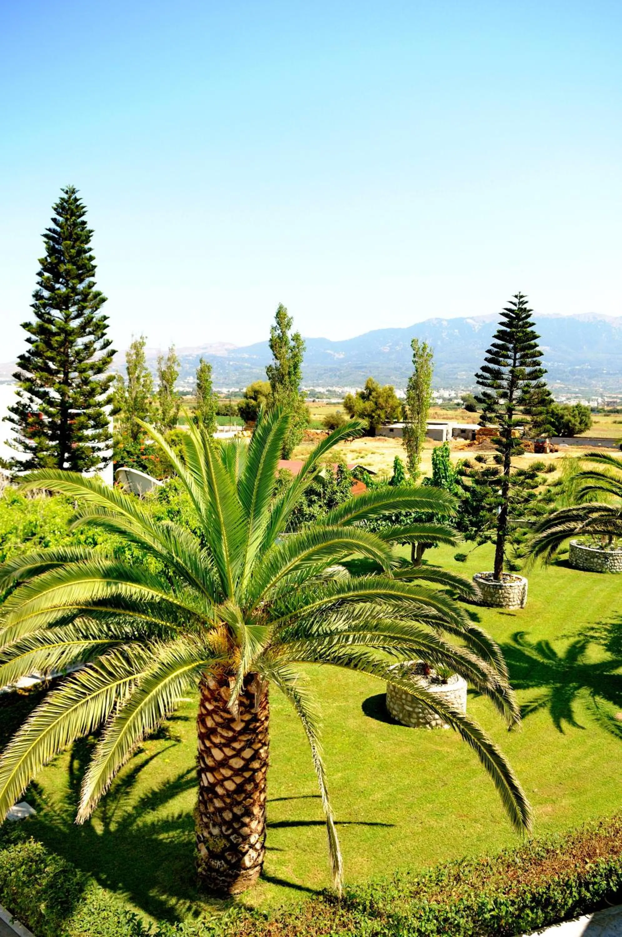 Garden in Akti Dimis Hotel