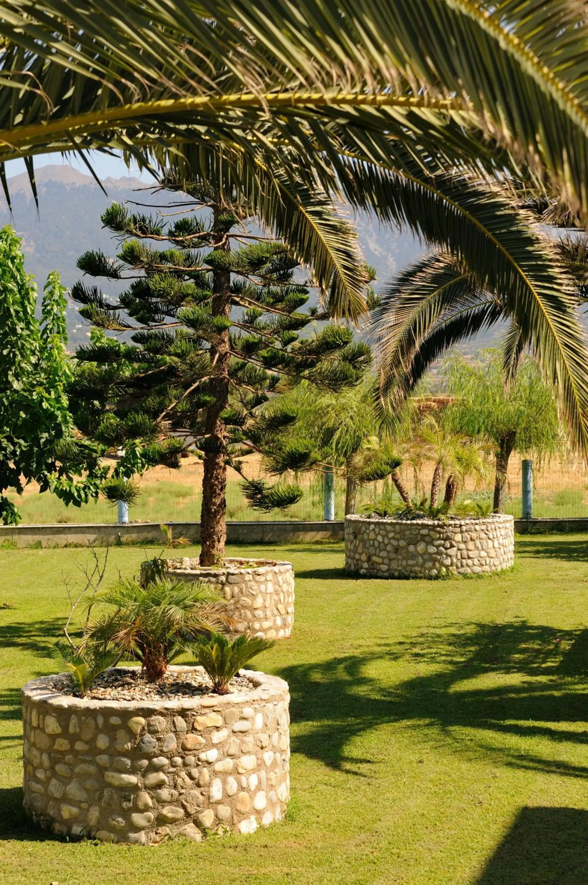 Garden in Akti Dimis Hotel