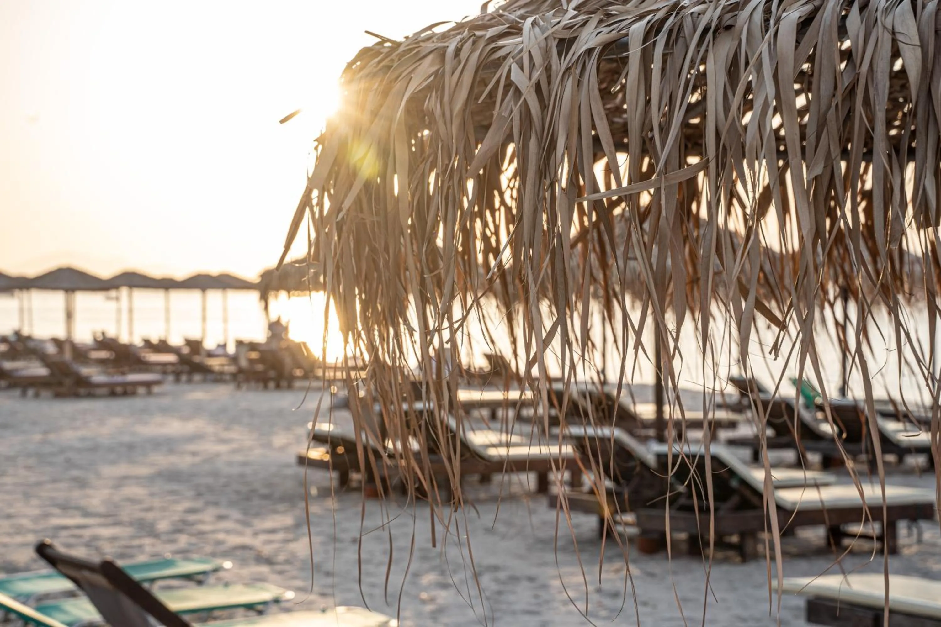 Beach in Akti Dimis Hotel