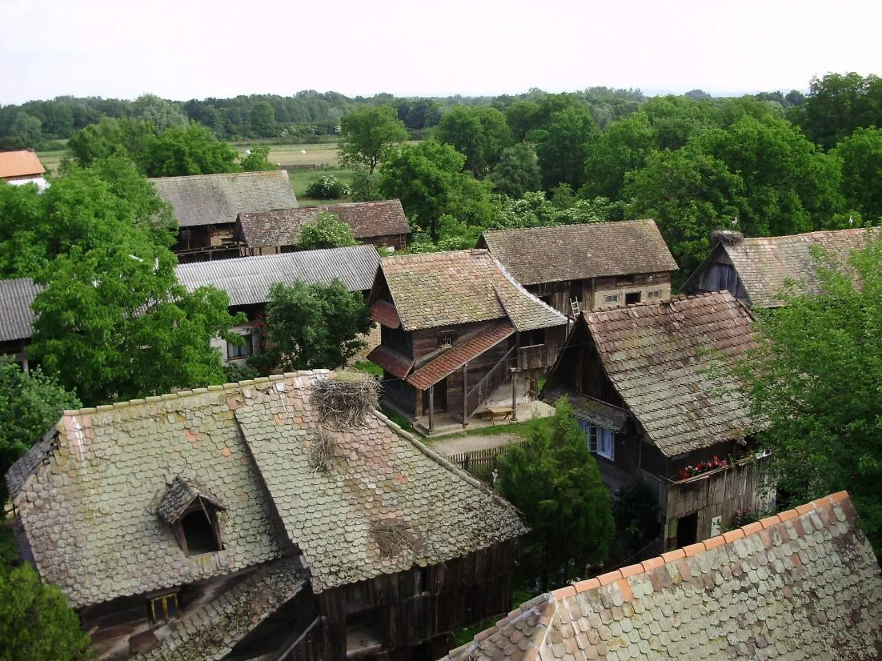 Area and facilities in Tradicije Cigoc