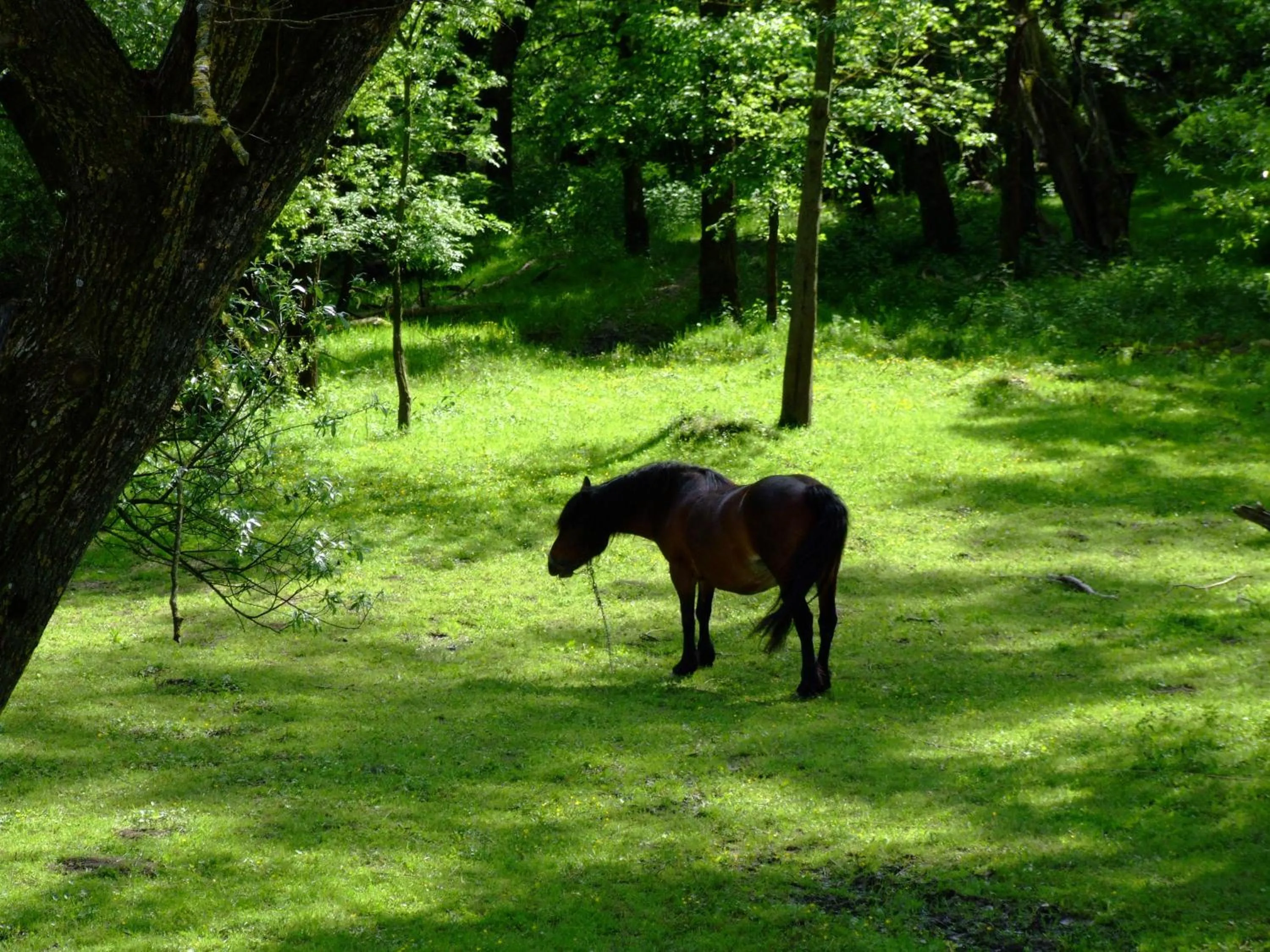Area and facilities in Tradicije Cigoc