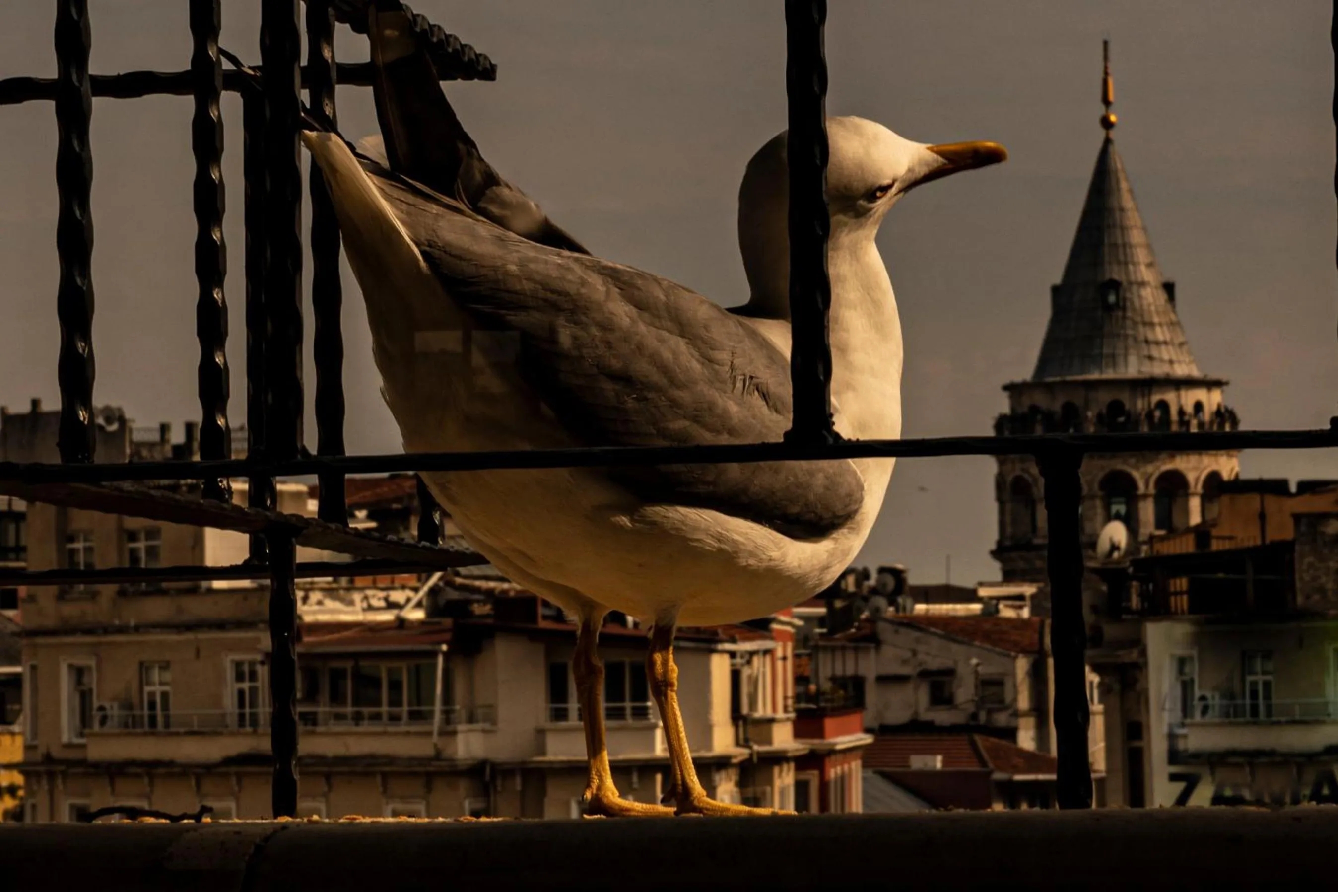 View (from property/room) in GALATA M84