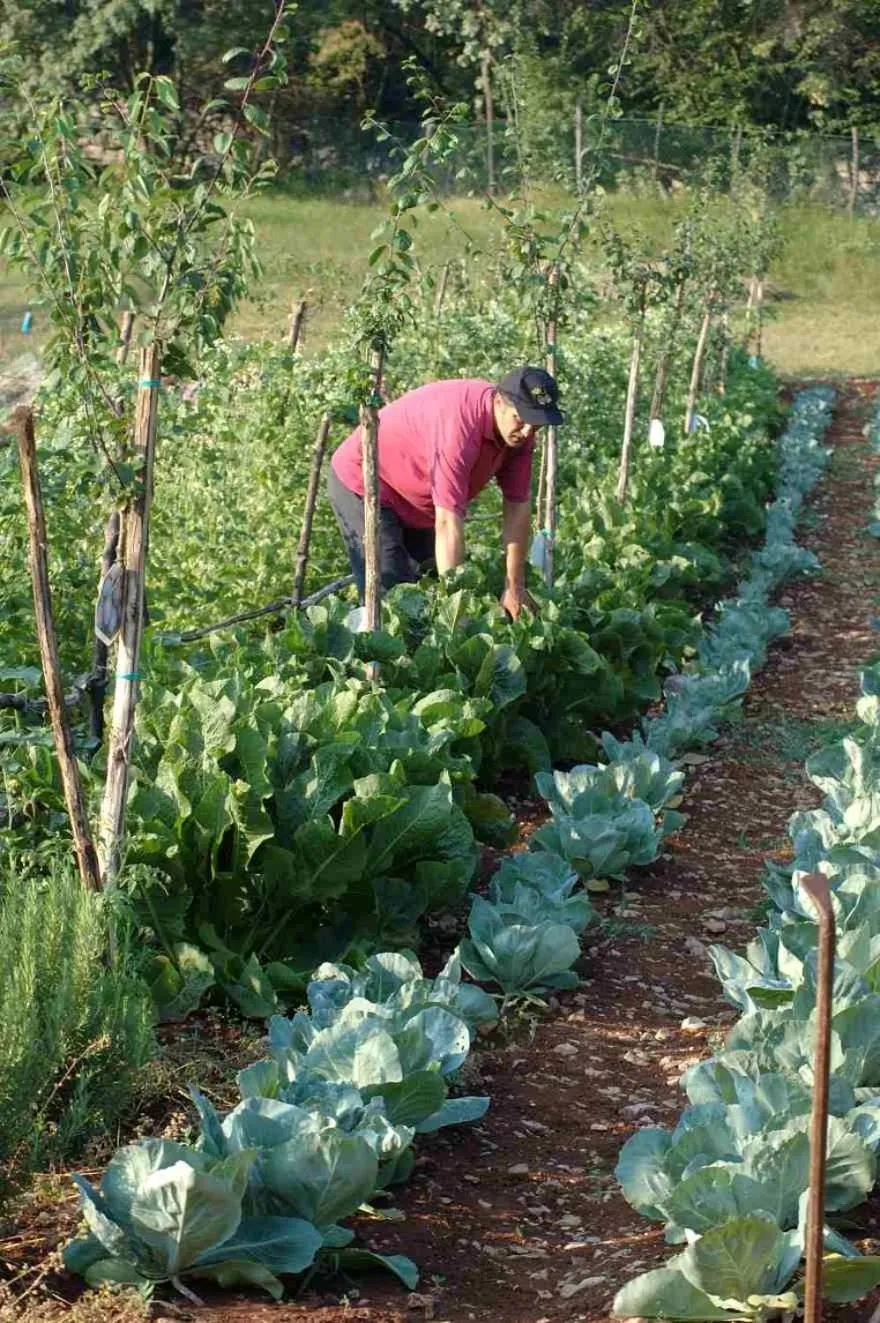 Guests in Lokanda Devetak