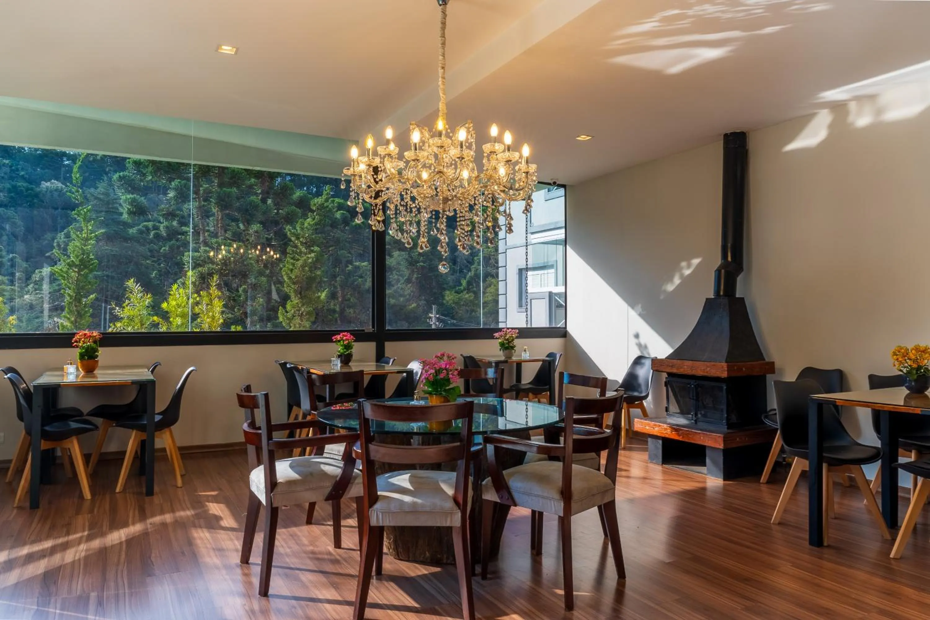 Natural landscape in Pousada Grandchamp - Campos do Jordao