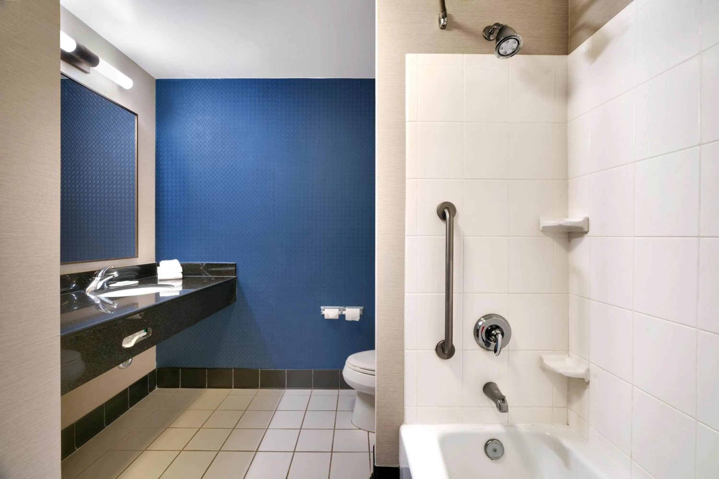 Bathroom in Fairfield Inn & Suites by Marriott Albany