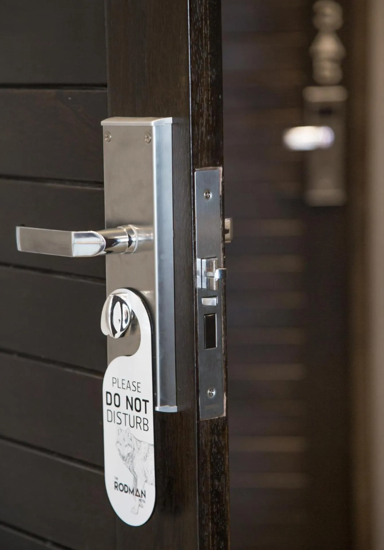 Photo of the whole room in The Rodman Hotel