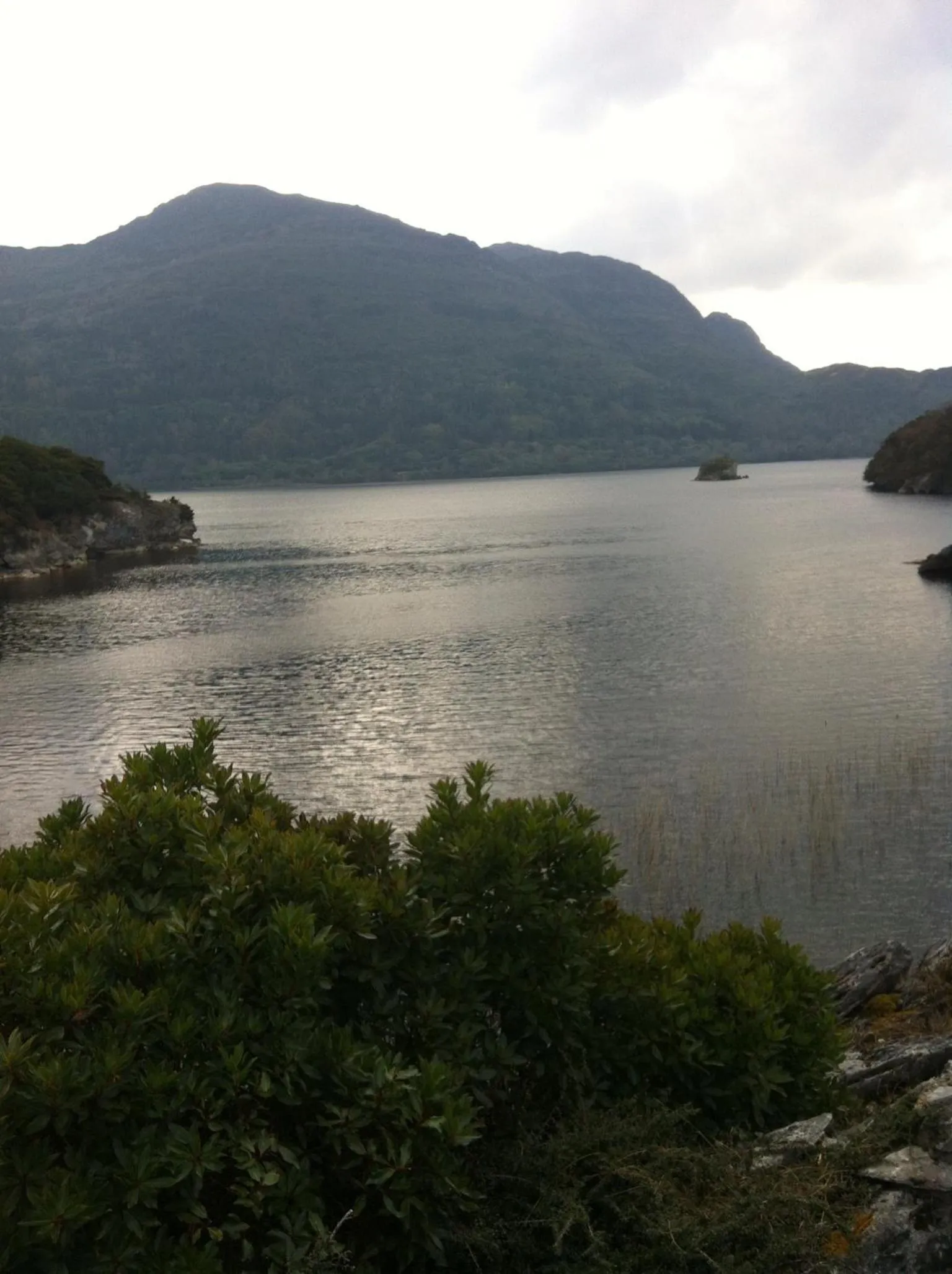 Other in Murphys Farmhouse B&B