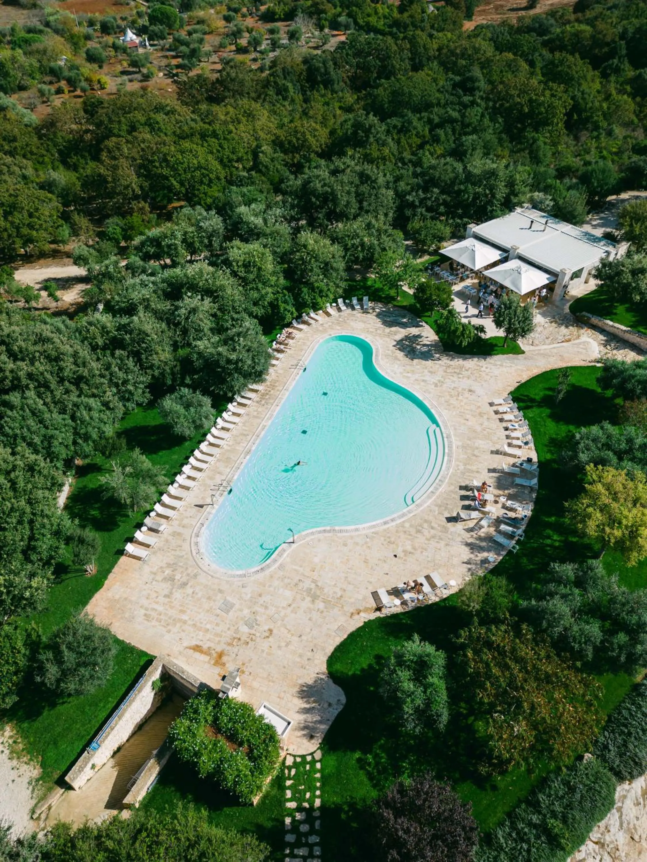 Swimming pool in Masseria Grieco