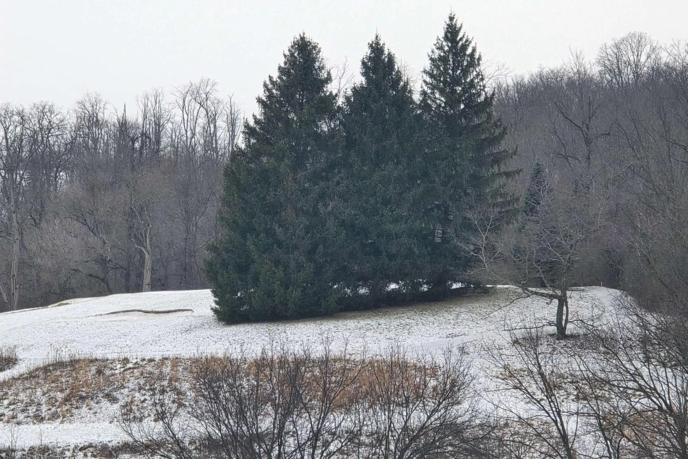 Bedroom in Courtyard Altoona