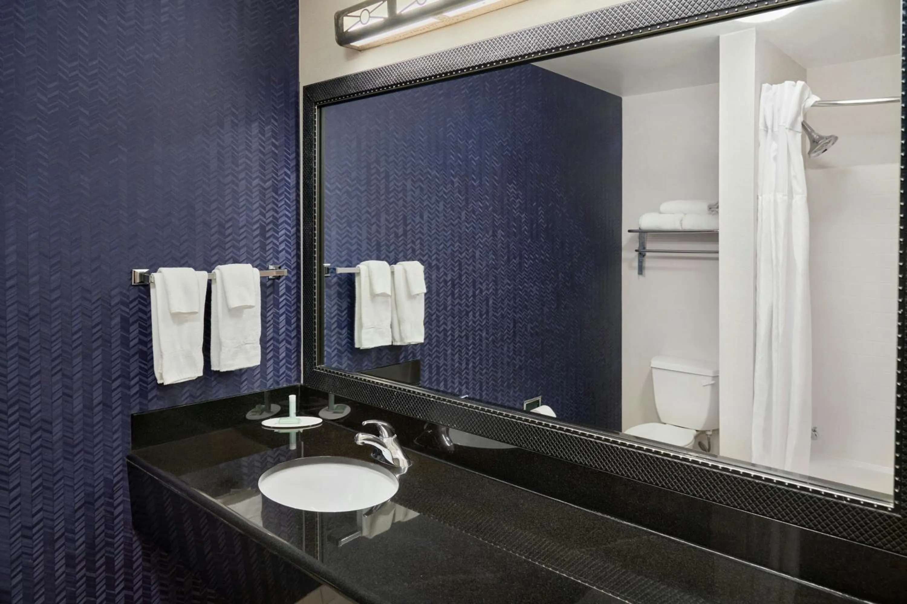 Bathroom in Fairfield Inn & Suites Cartersville