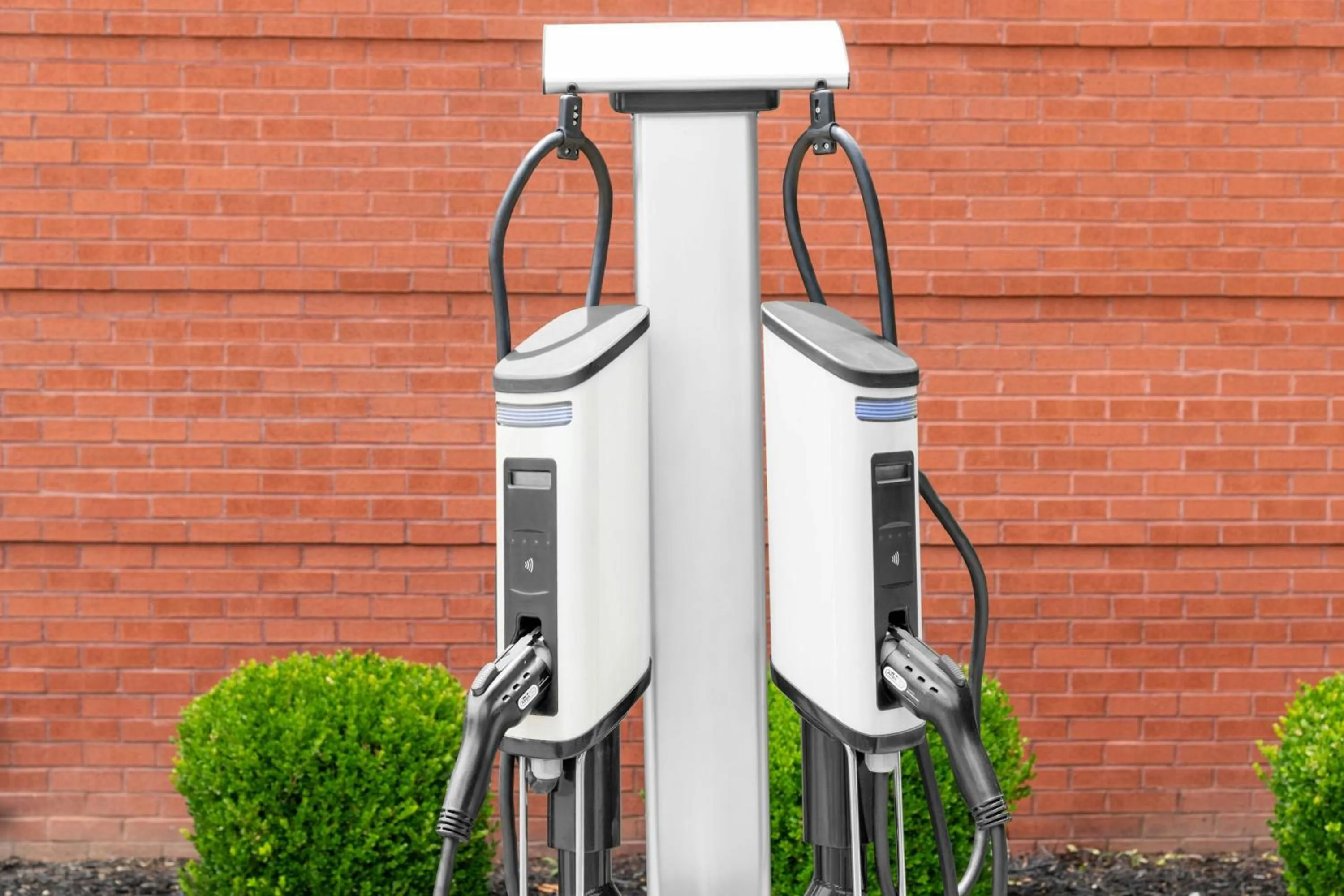 Other in Fairfield Inn & Suites Cartersville