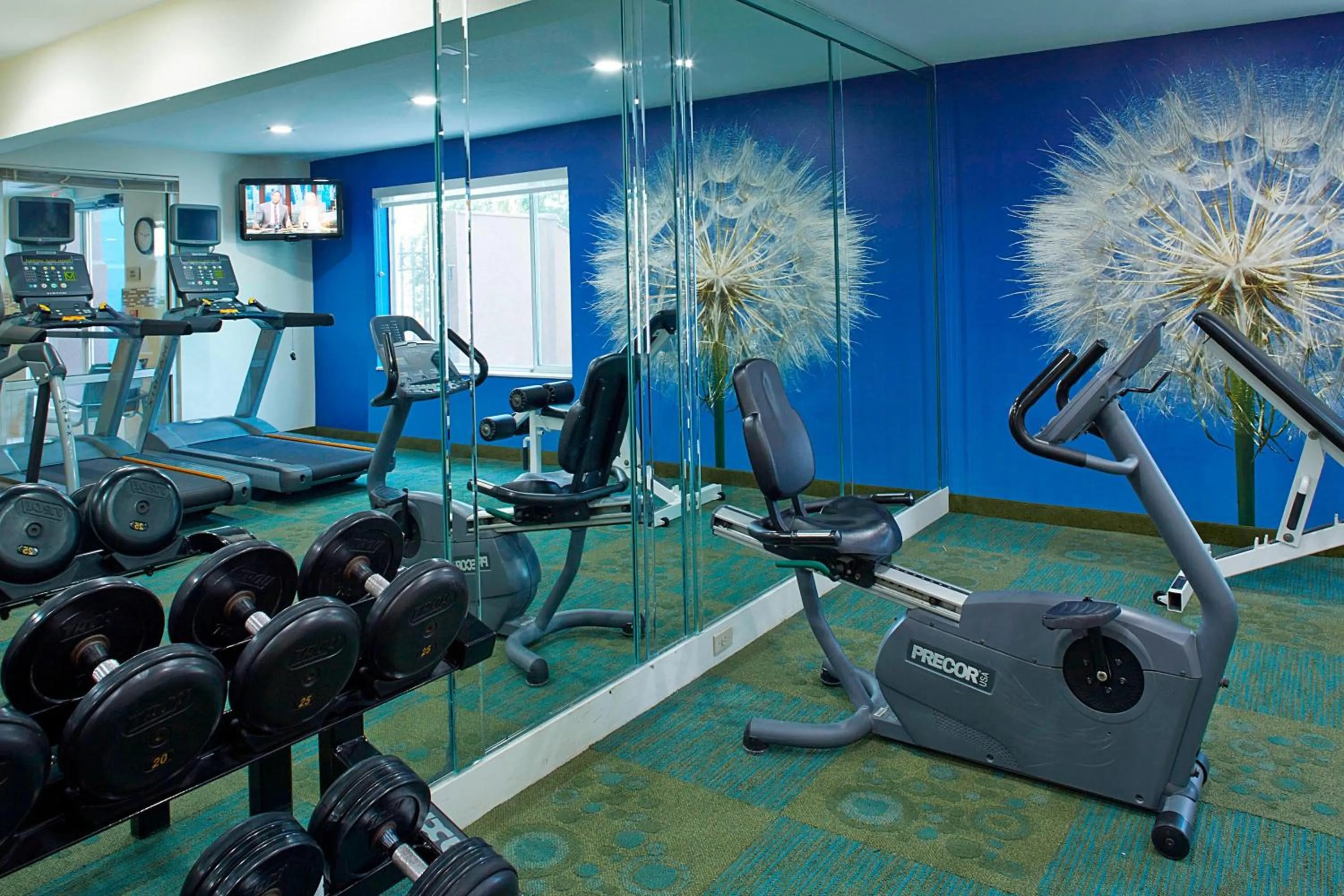 Fitness centre/facilities in SpringHill Suites by Marriott Atlanta Six Flags