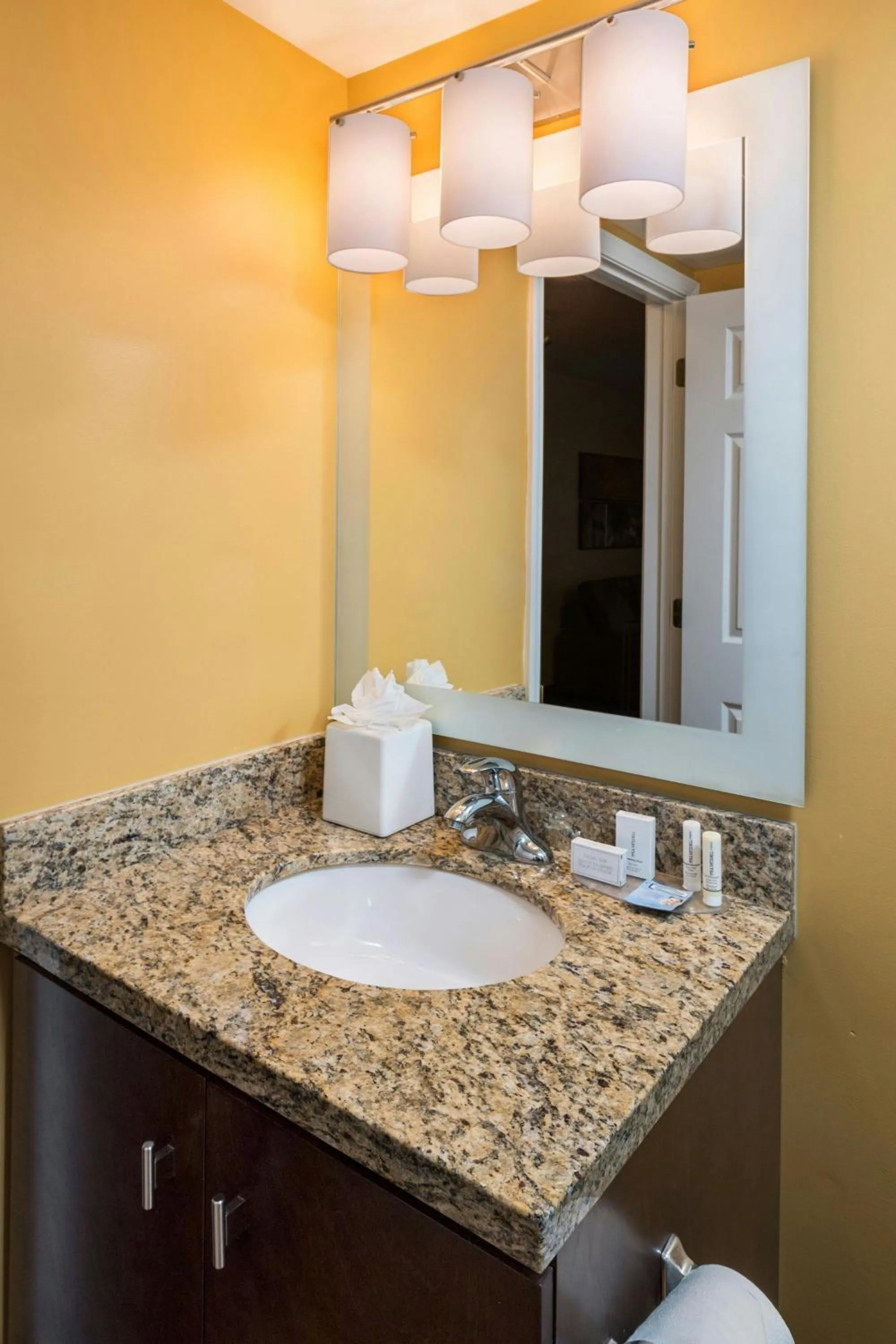 Bathroom in TownePlace Suites by Marriott Atlanta Kennesaw