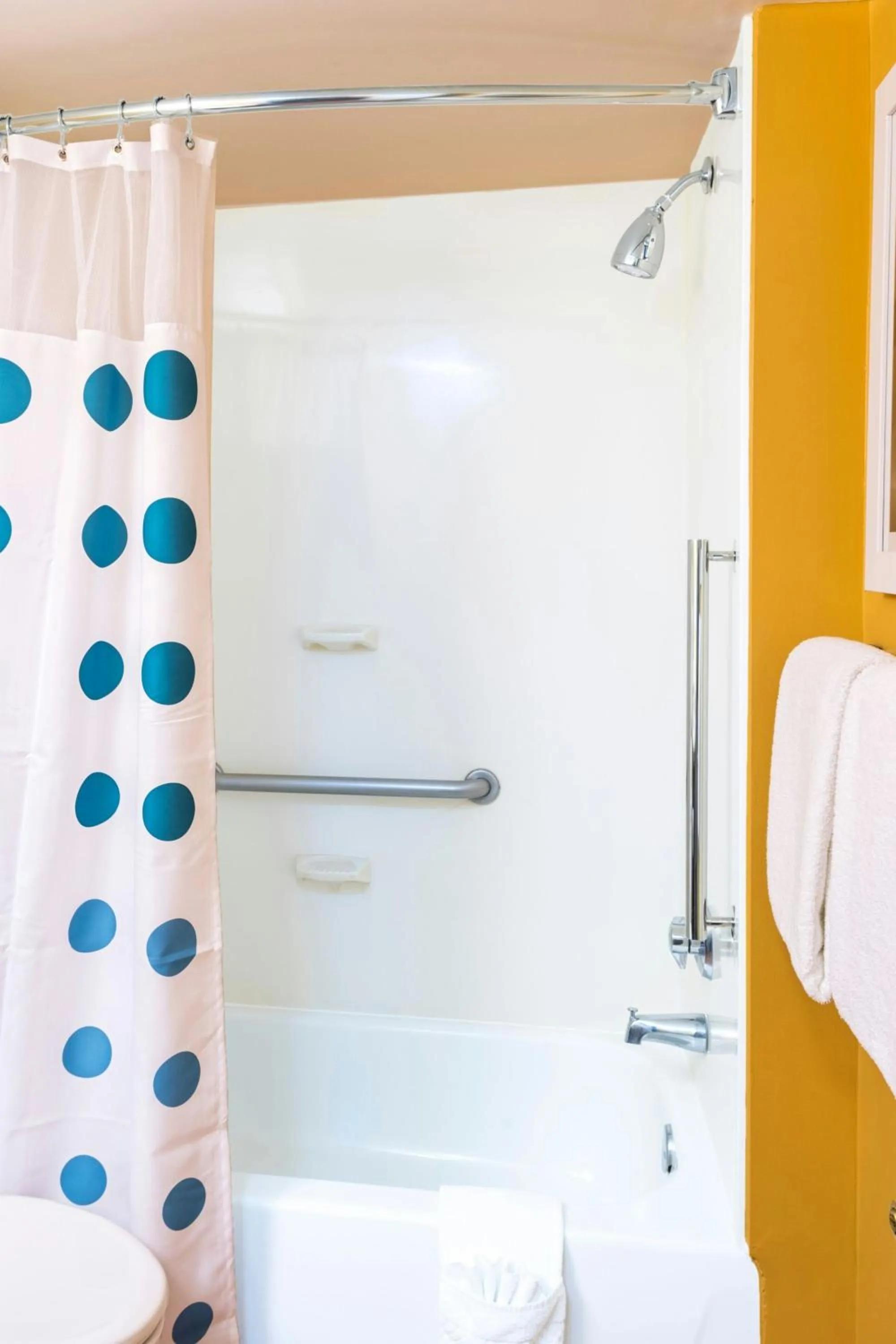Bathroom in TownePlace Suites by Marriott Atlanta Kennesaw