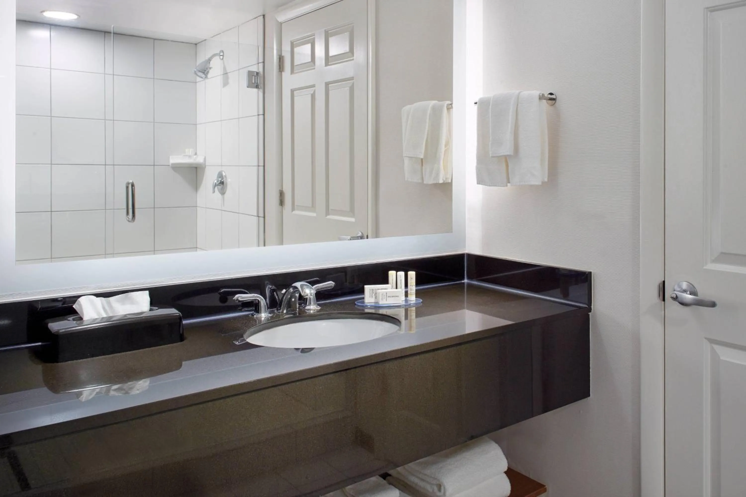 Bathroom in Fairfield by Marriott Inn & Suites Asheville Outlets