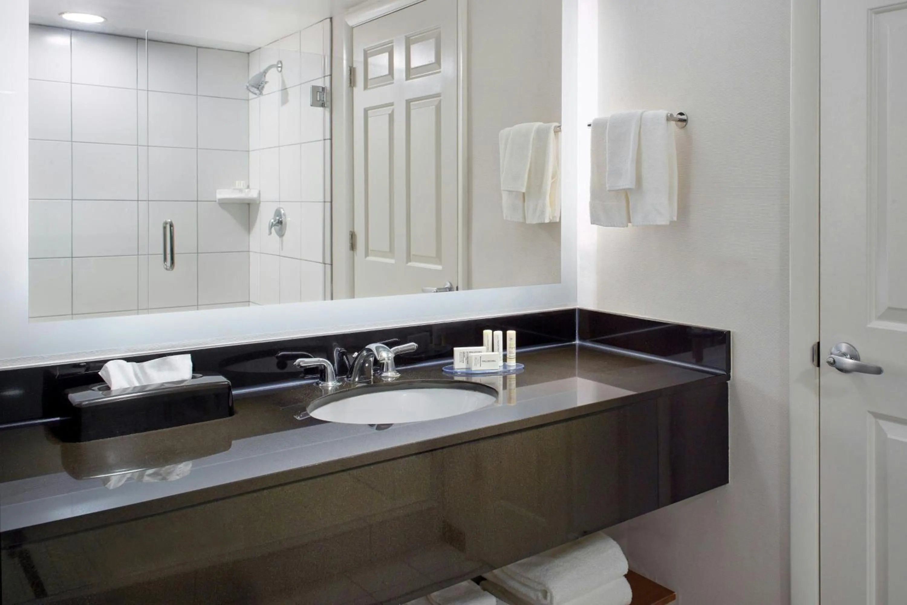 Bathroom in Fairfield by Marriott Inn & Suites Asheville Outlets