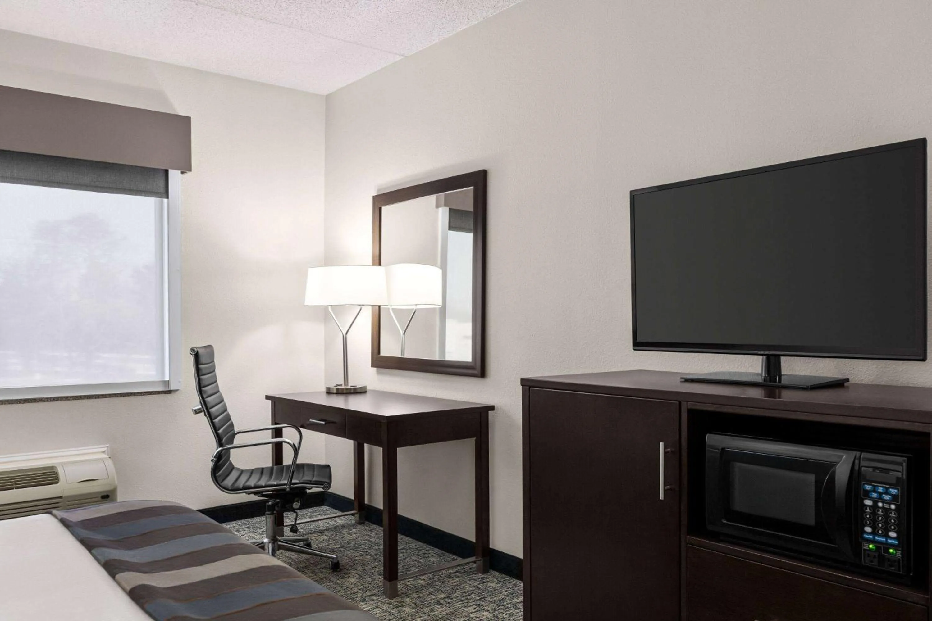 Photo of the whole room in Wingate by Wyndham Fletcher at Asheville Airport