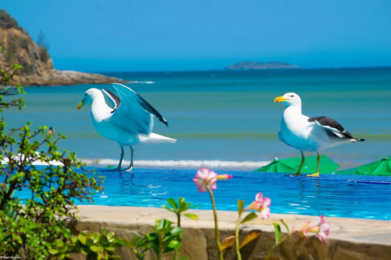 Swimming pool in Chez Pitu Praia Hotel