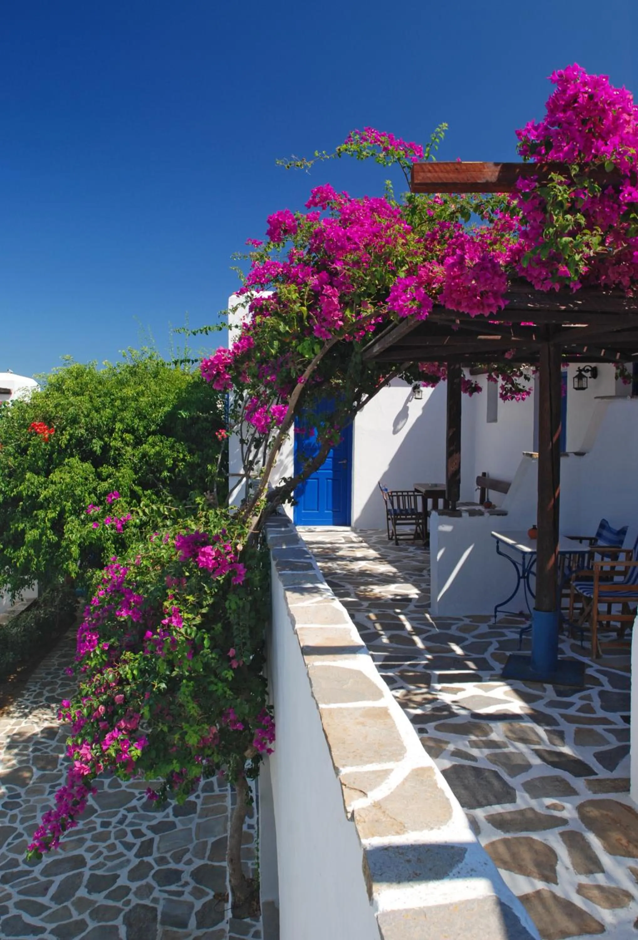 Balcony/Terrace in Alkyoni Beach Hotel