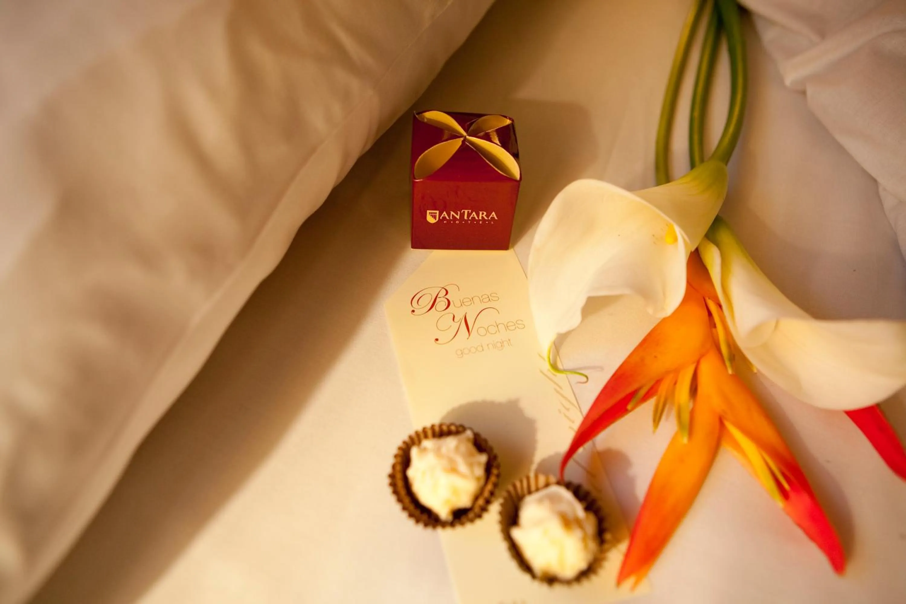 Food and drinks in Antara Hotel & Suites - Miraflores