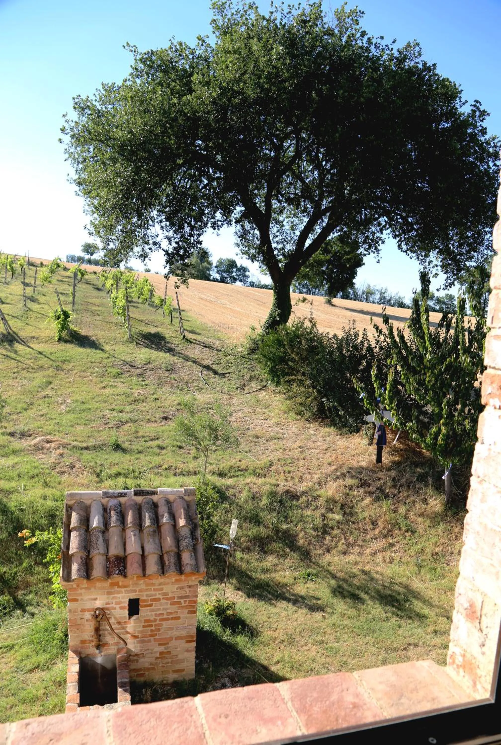 Property building in B&B Mik e Ramo