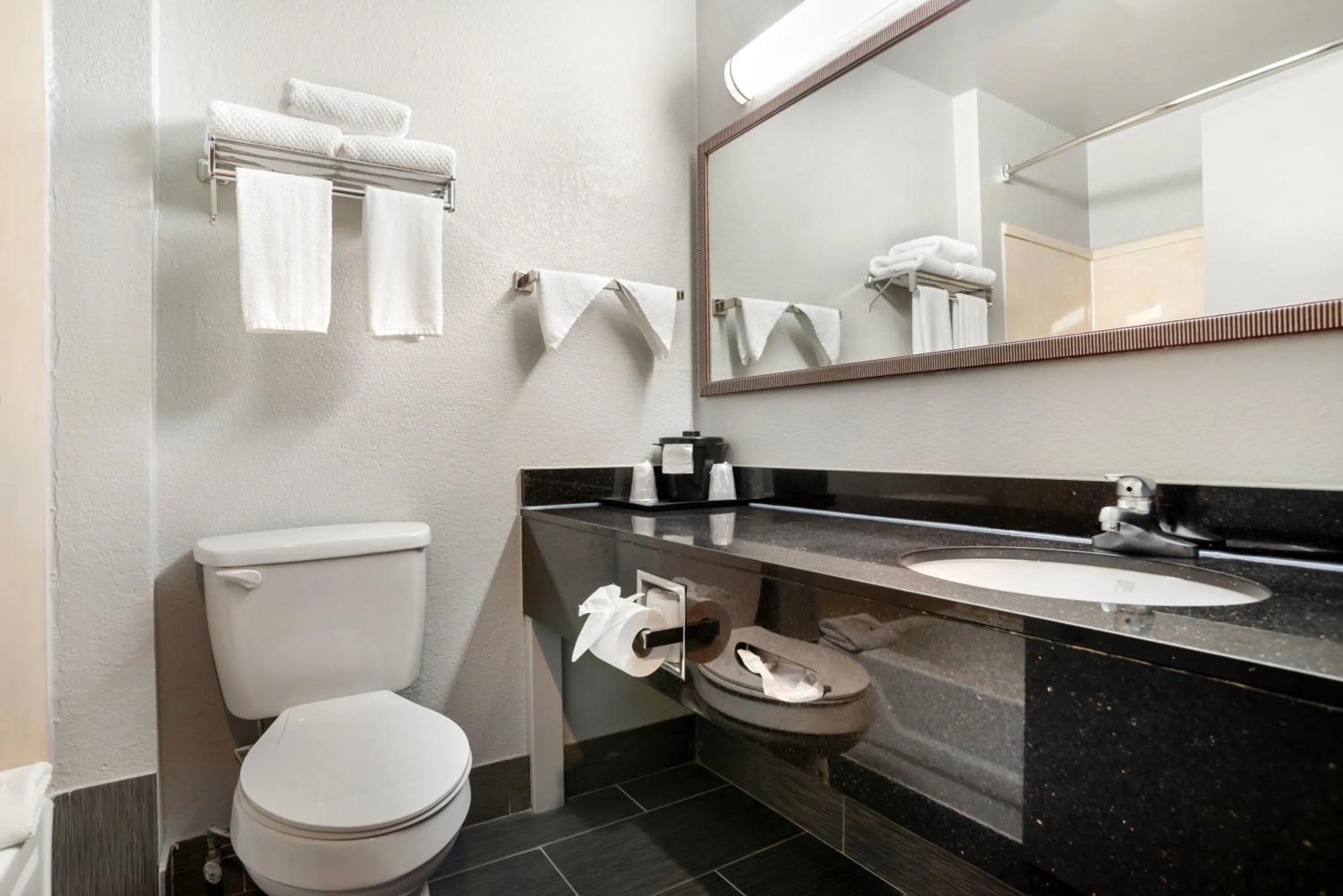 Bathroom in Quality Inn & Suites Birmingham - Highway 280