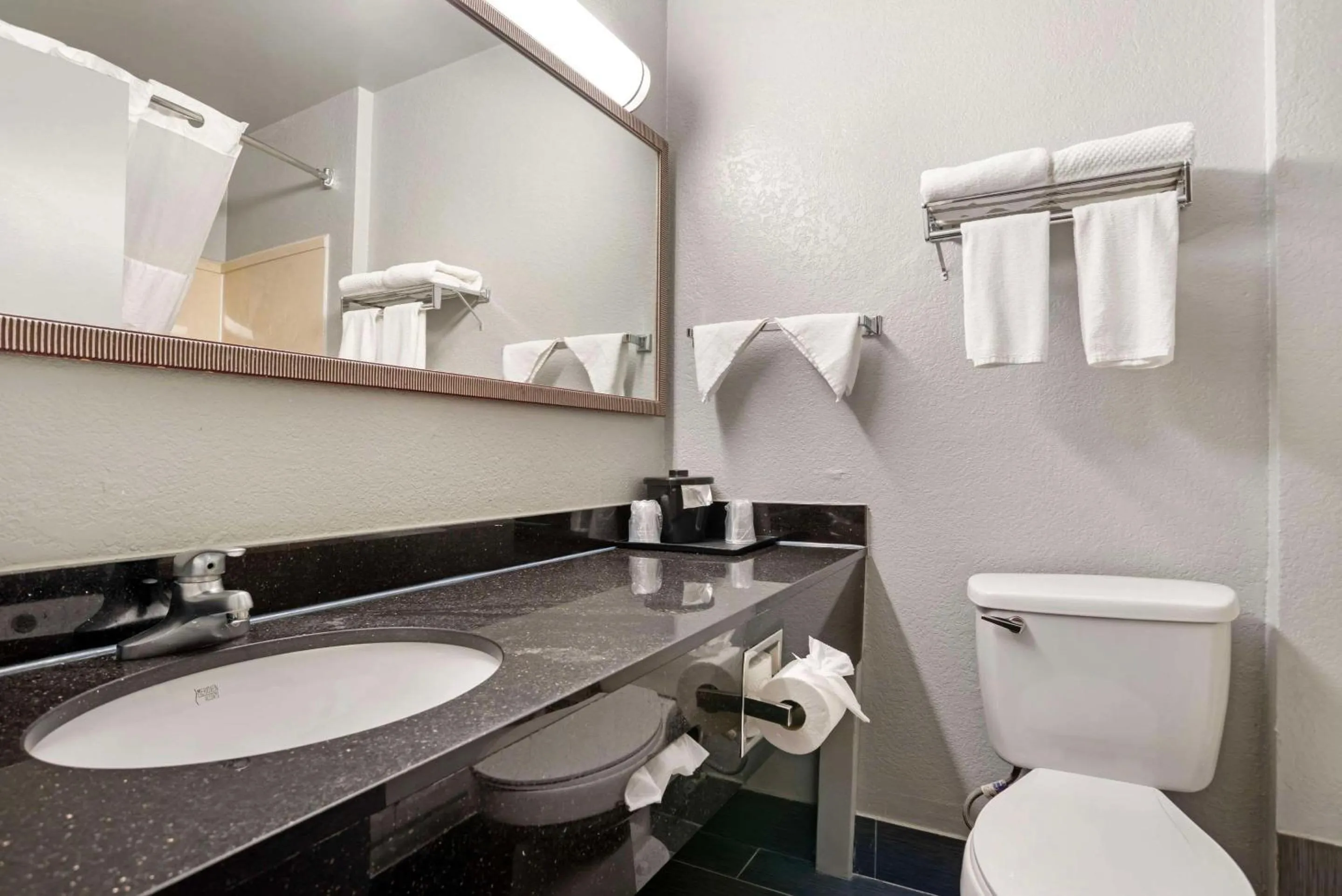 Bedroom in Quality Inn & Suites Birmingham - Highway 280