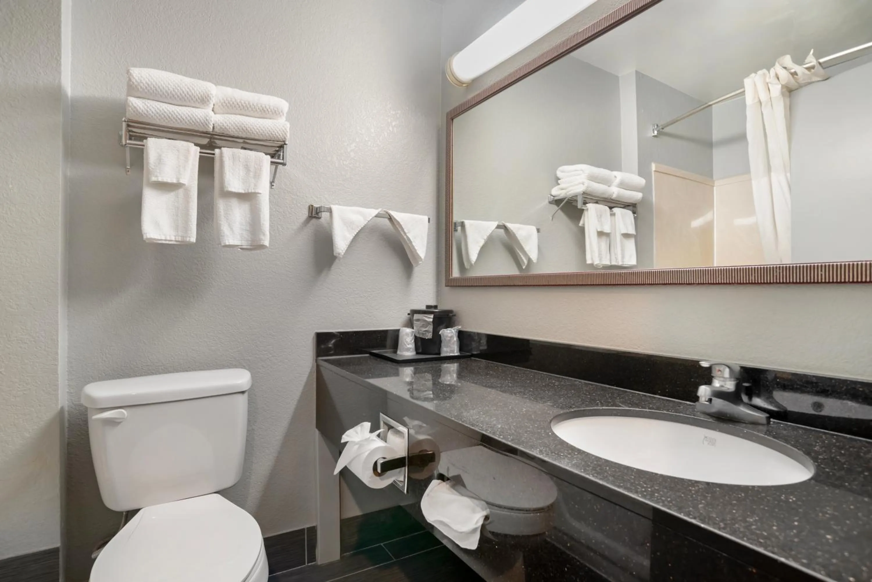 Bathroom in Quality Inn & Suites Birmingham - Highway 280