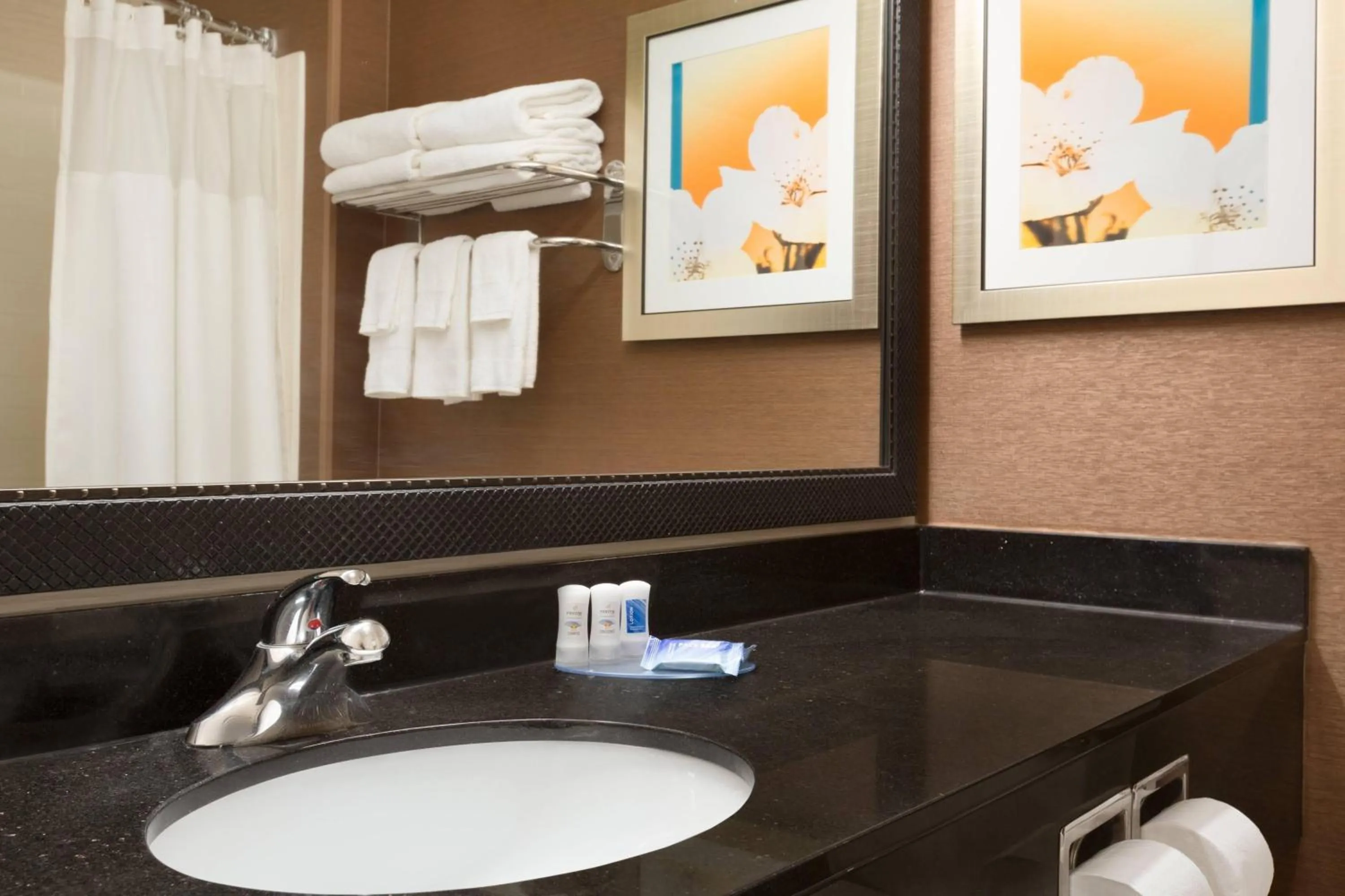 Bathroom in Fairfield Inn & Suites Bismarck South